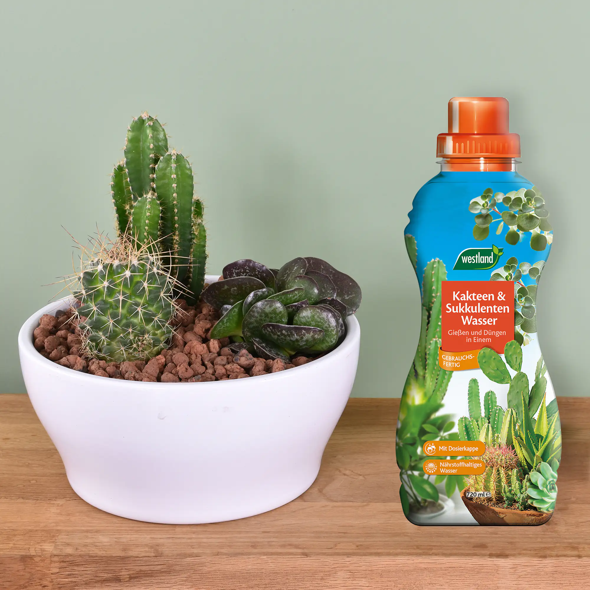 Westland Kakteen- & Sukkulenten Wasser 720 ml