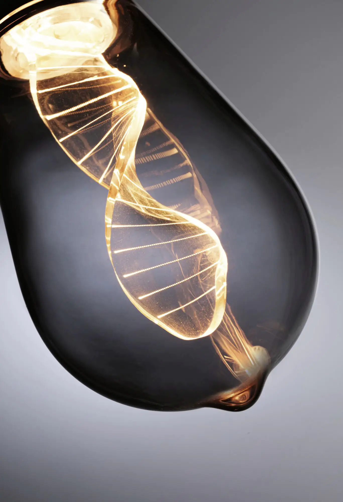 Paulmann LED Leuchtmittel Inner Glow Helix Edison E27 3,5W rauch