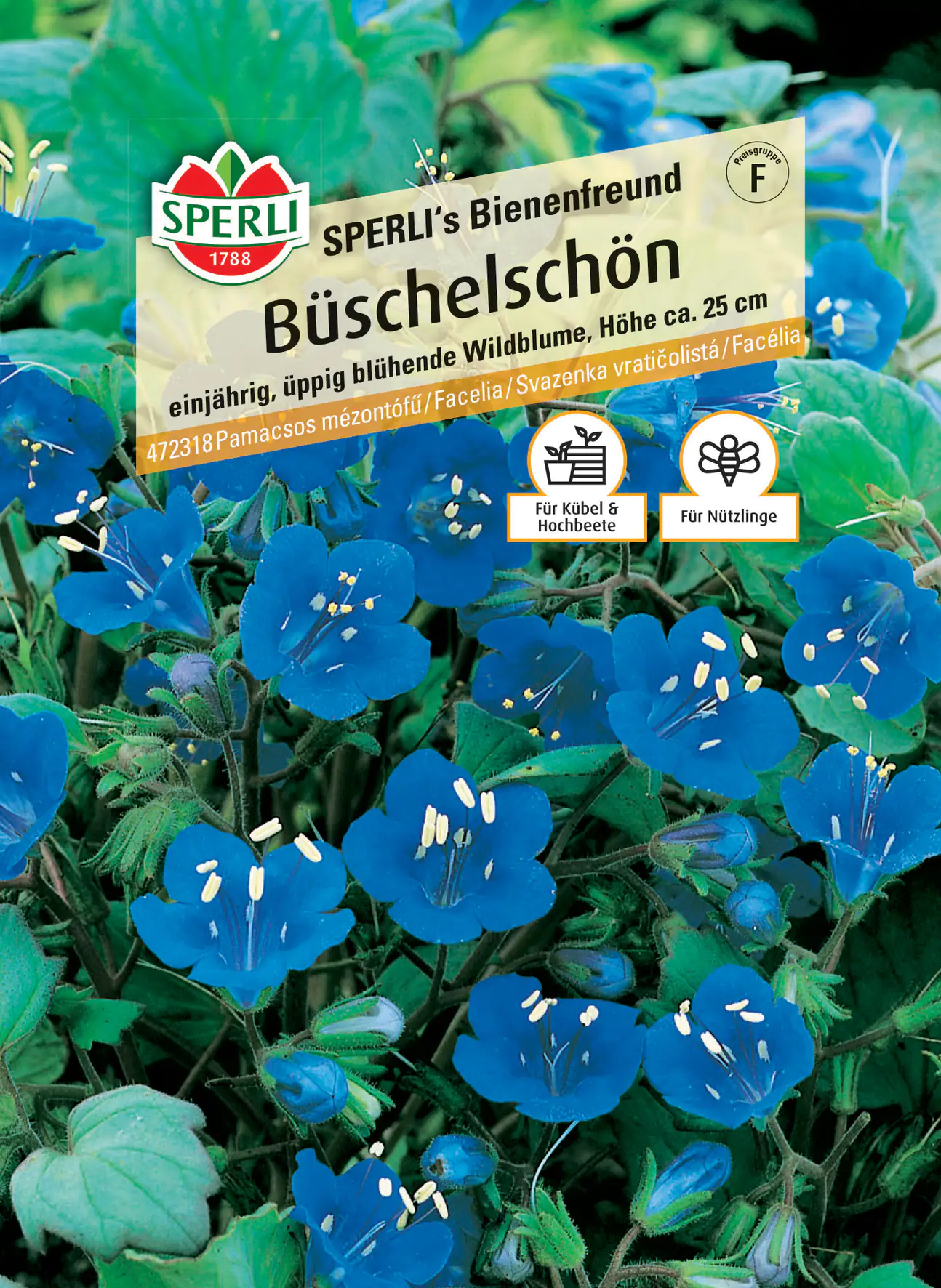 Sperli Büschelschön SPERLI's Bienenfreund Sperli Büschelschön SPERLI's Bienenfreund
