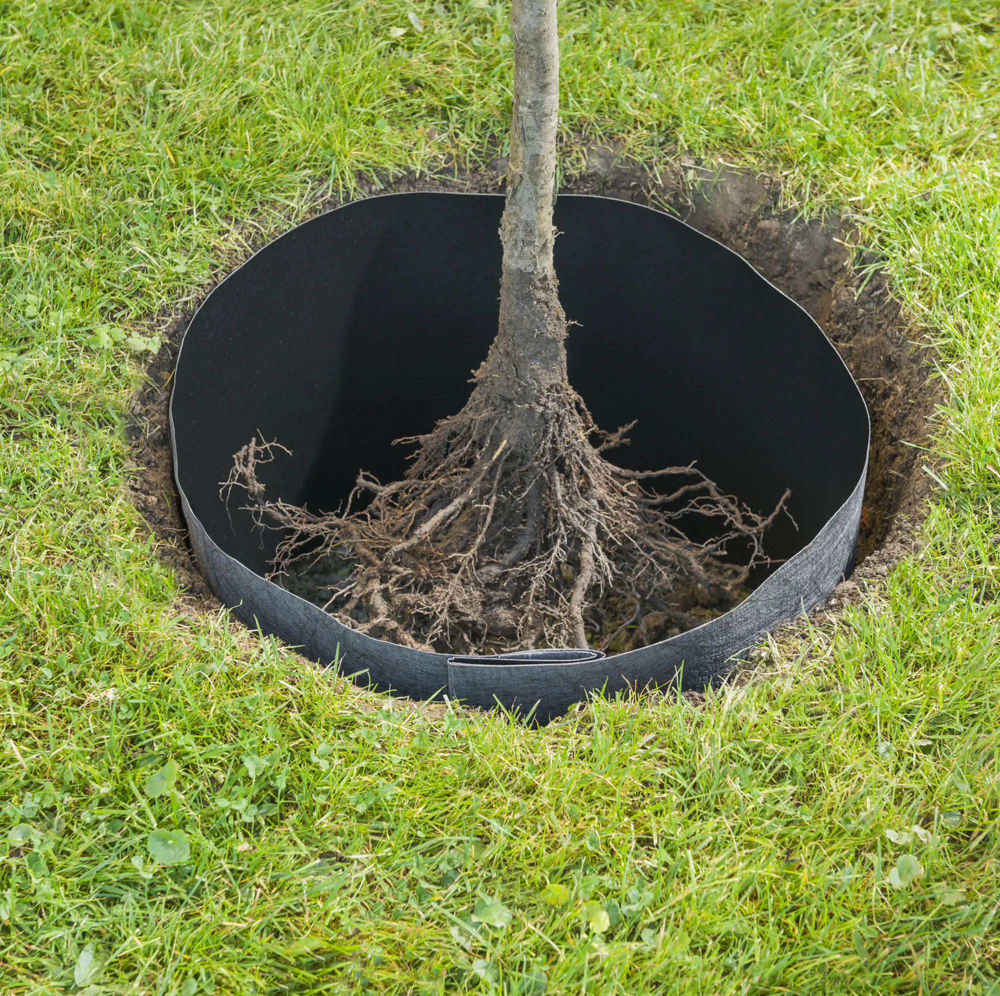 Windhager Wurzelsperr-Vlies 0,65 x 3,5 m Windhager Wurzelsperr-Vlies 0,65 x 3,5 m