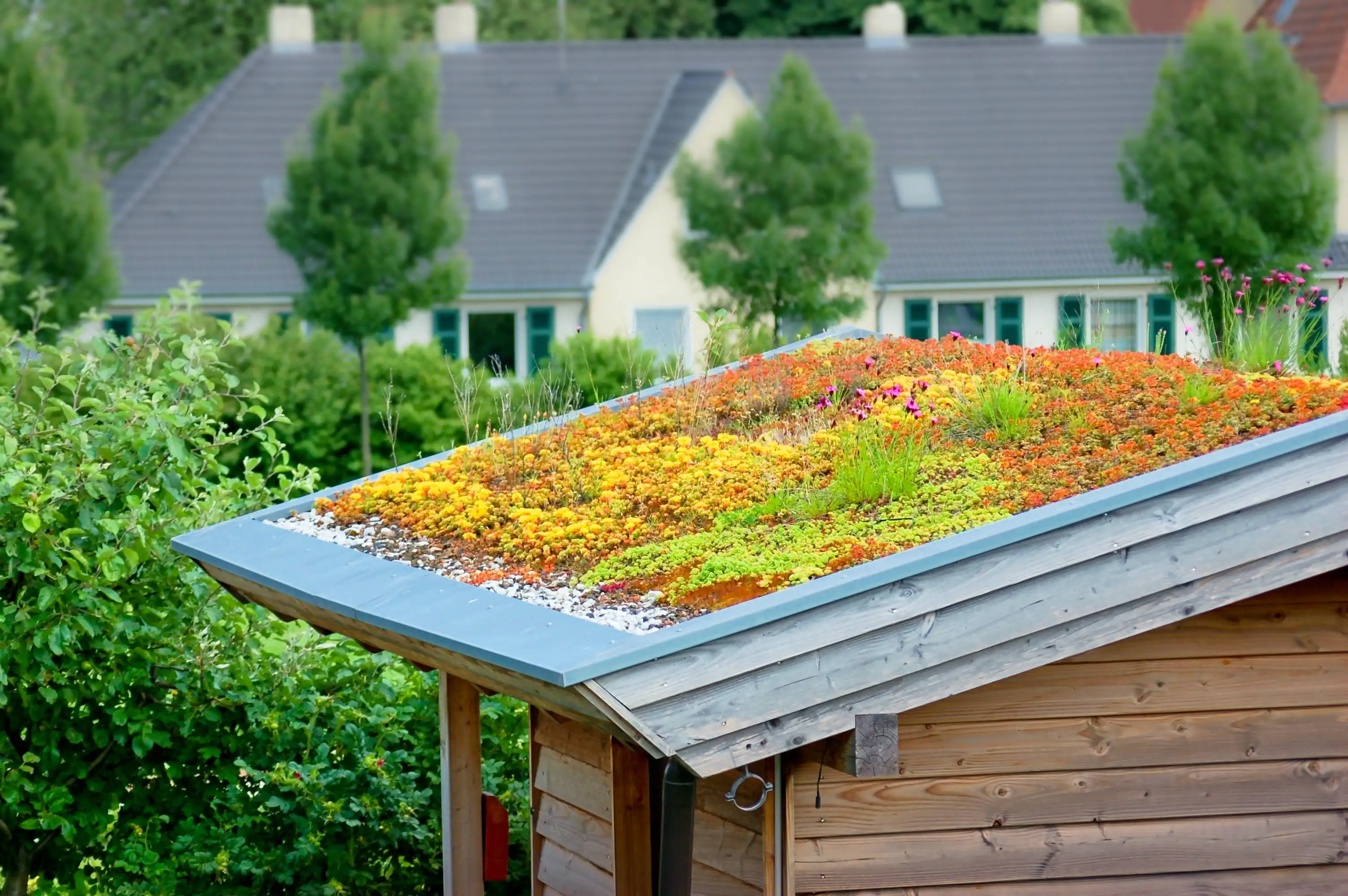 Dachbegrünung bis 25° Dachneigung 25 m² Dachbegrünung bis 25° Dachneigung 25 m²