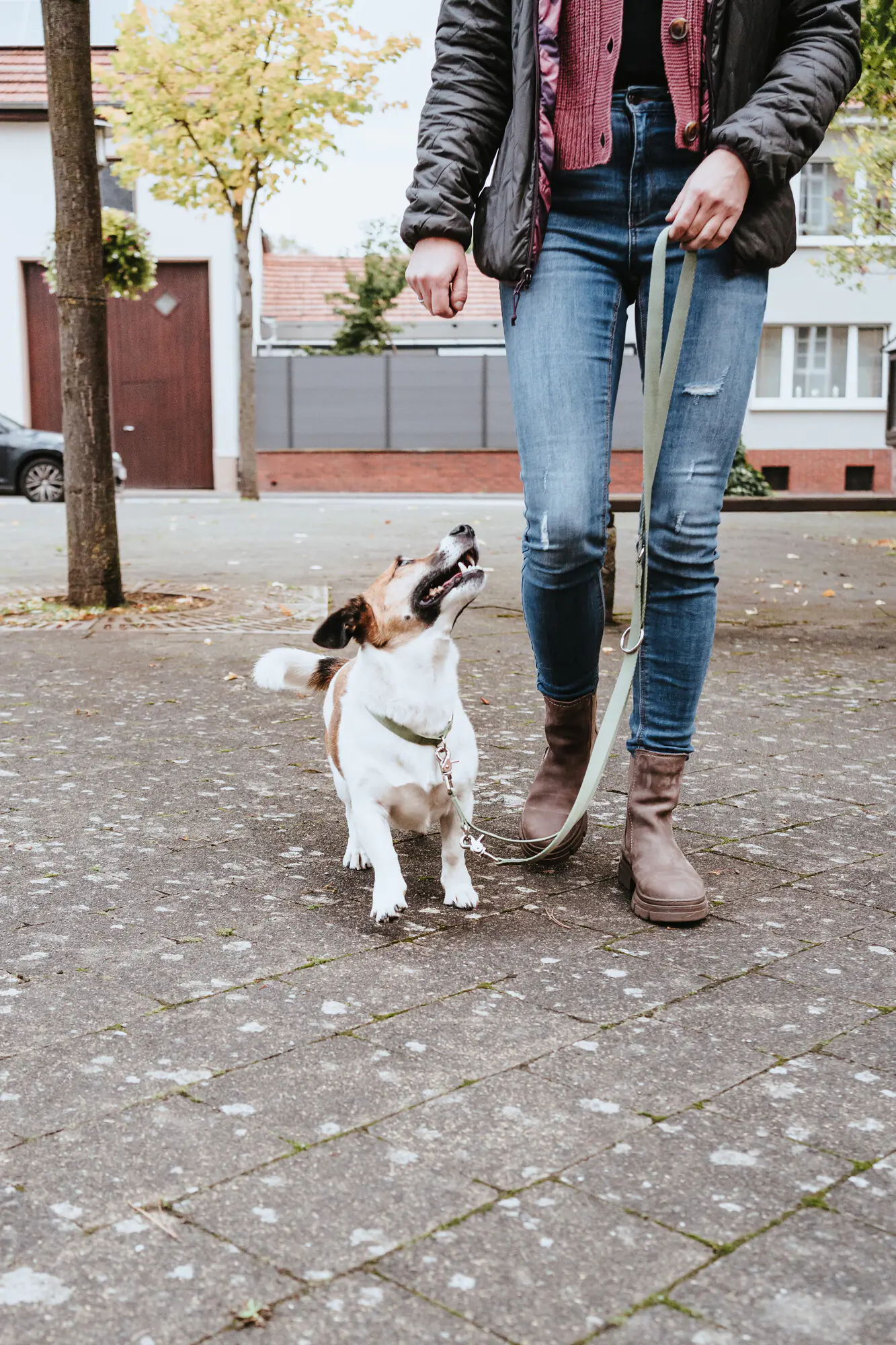 Hunter Hundeleine Führleine verstellbar Inari 2 m x 2 cm lindgrün