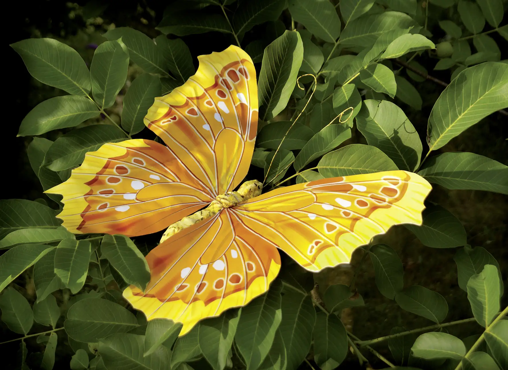 Glorex Schmetterling gelb 8cm mit Clip Farbe: gelb