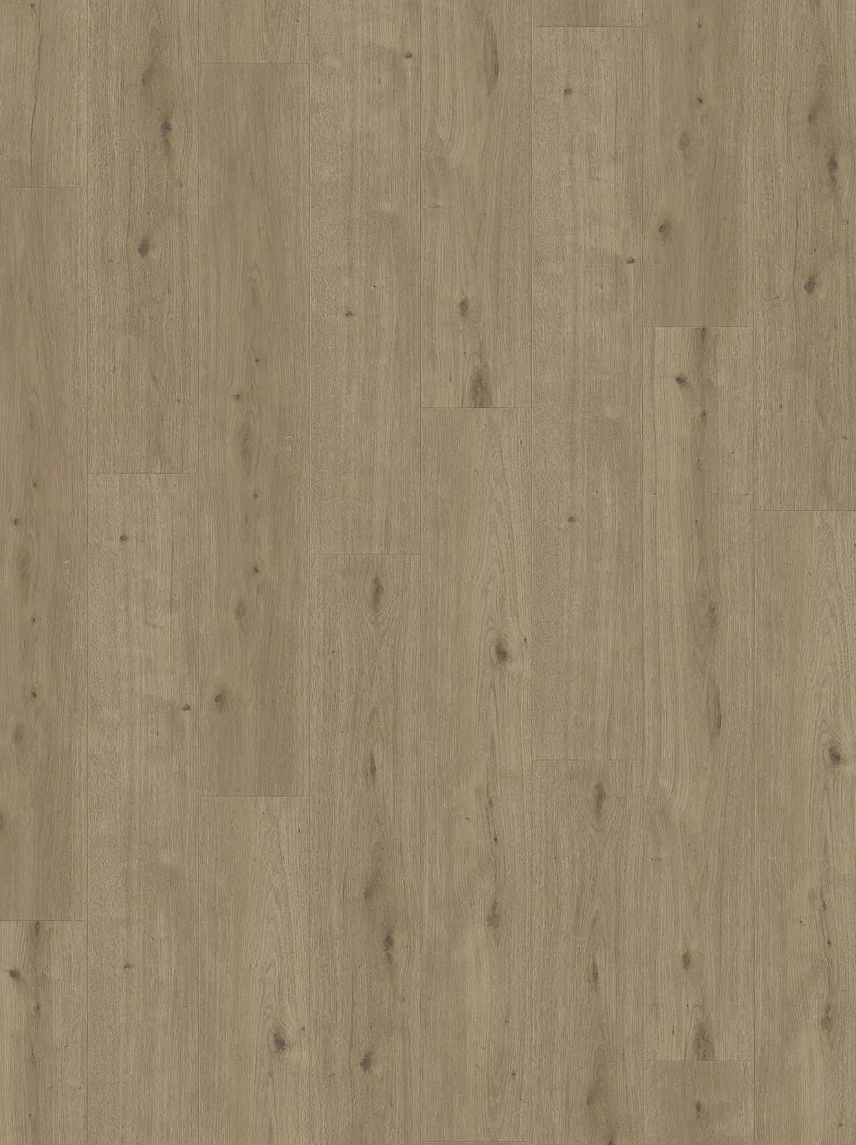 Parador Designboden Modular ONE Eiche Atmosphere umbra Authentische Struktur Parador Designboden Modular ONE Eiche Atmosphere umbra Authentische Struktur