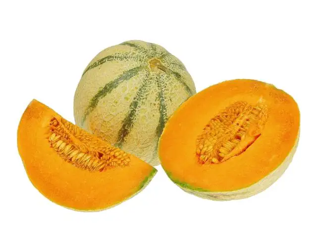 Citrullus lanatus Charantais-Melone 10,5 cm Topf