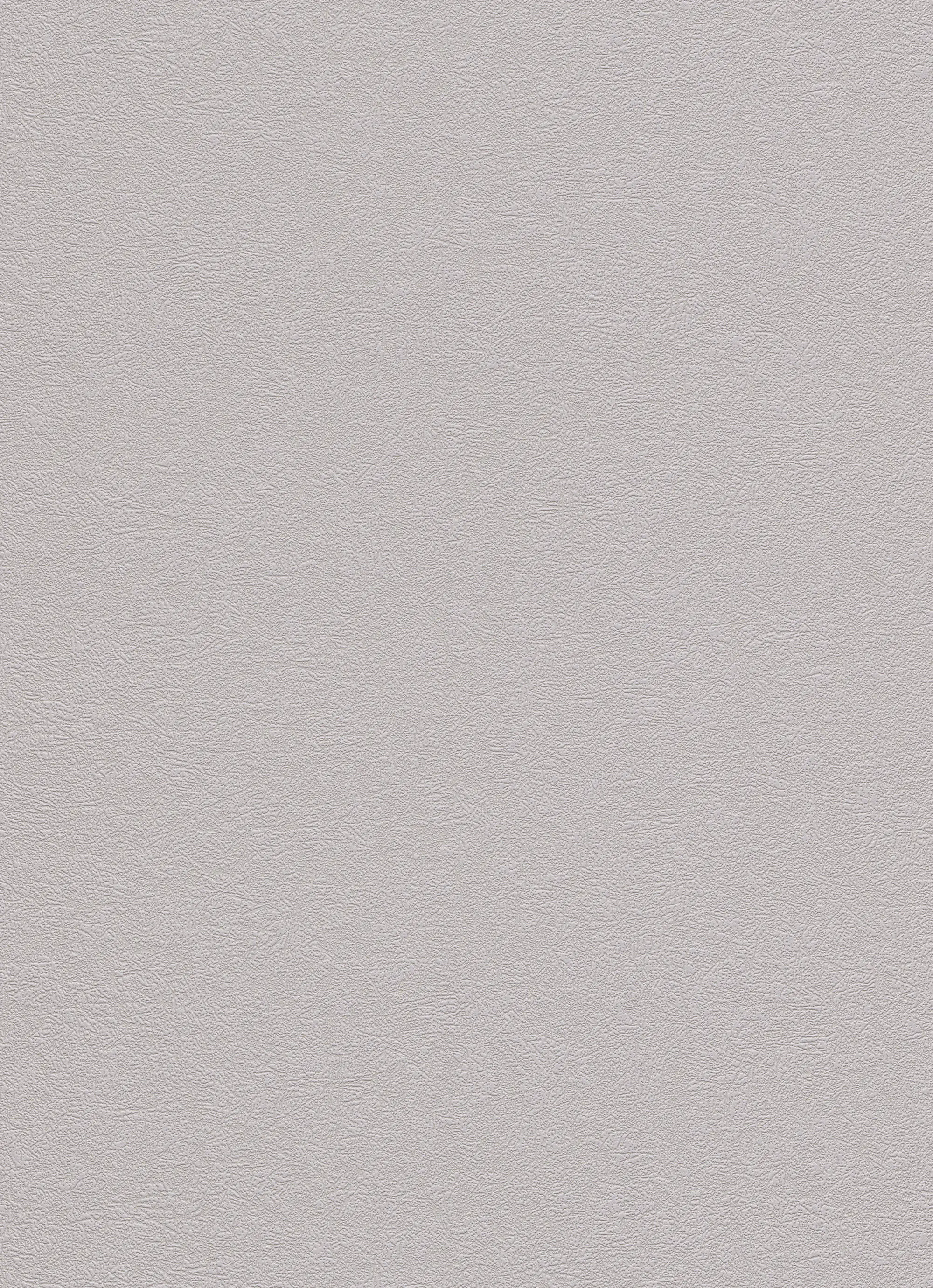 Erismann Vinyltapete 9733-37 Putzstruktur taupe 10,05 x 0,53 m Erismann Vinyltapete 9733-37 Putzstruktur taupe 10,05 x 0,53 m