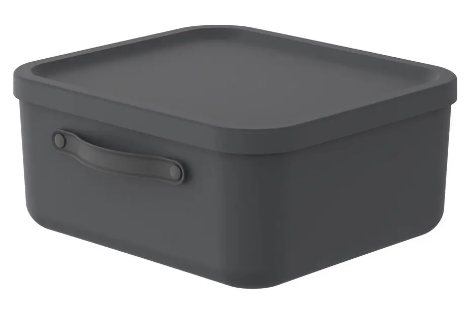Rotho Aufbewahrungsbox Mythen mit Deckel 39,5 x 38 cm 20 L schwarz