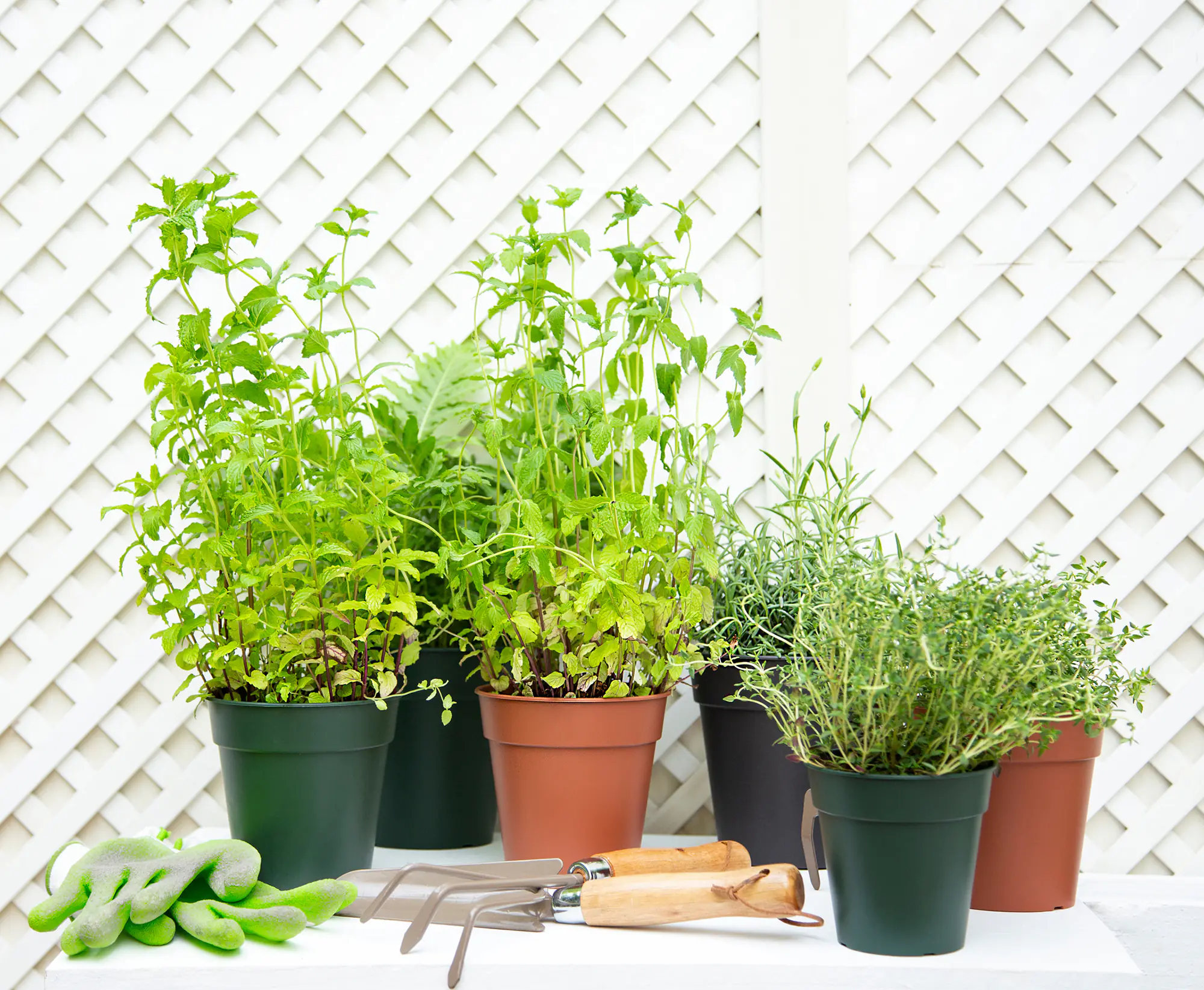 Artevasi Anzuchttopf Madagascar Kunststoff terrakotta Ø 40 x 39 cm 