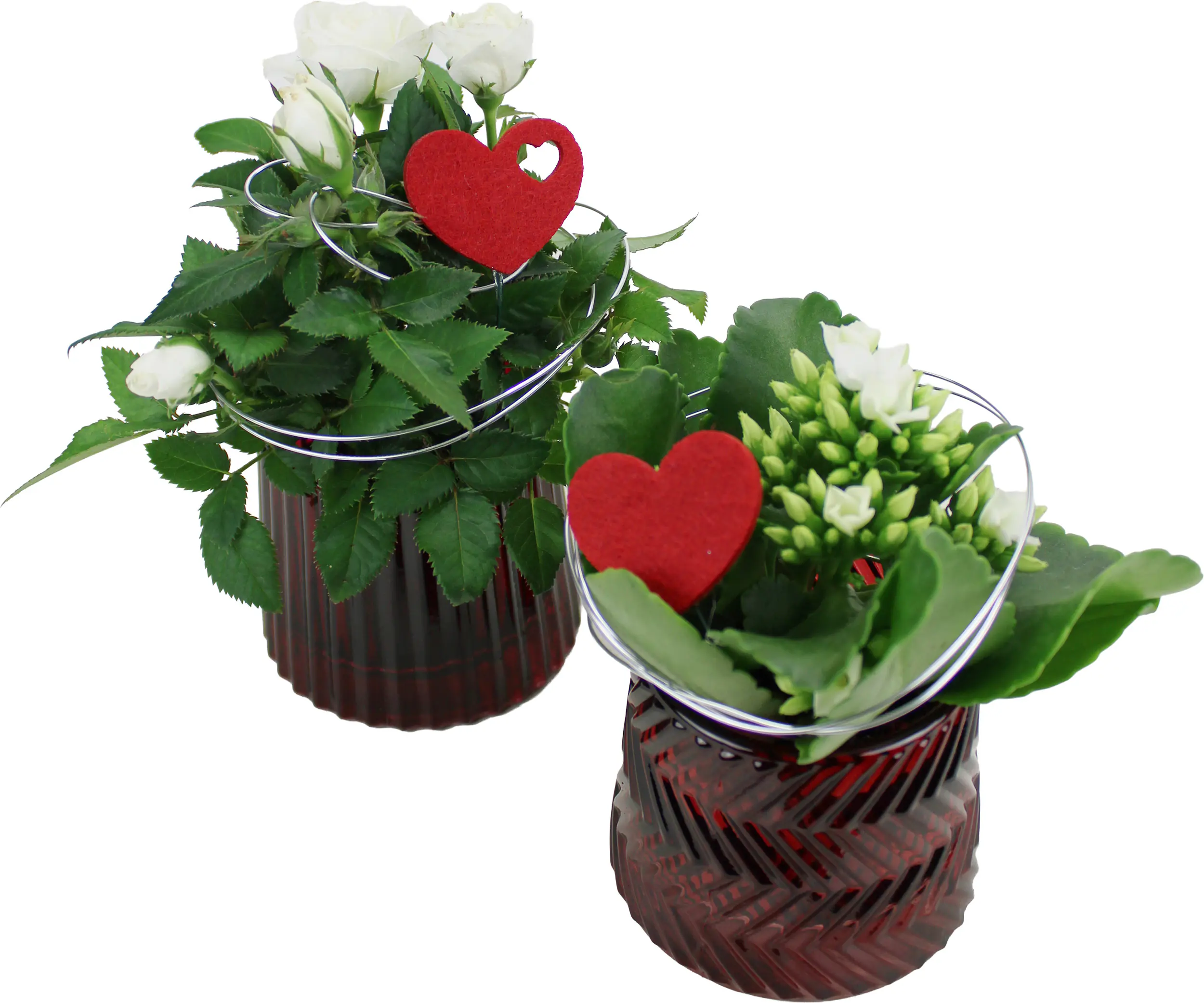 Bepflanzte Arrangements zu Muttertag Glastopf