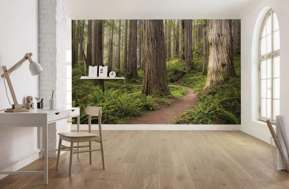 4055065111730_1 Komar Vlies Fototapete Redwood Trail 450 x 280 cm