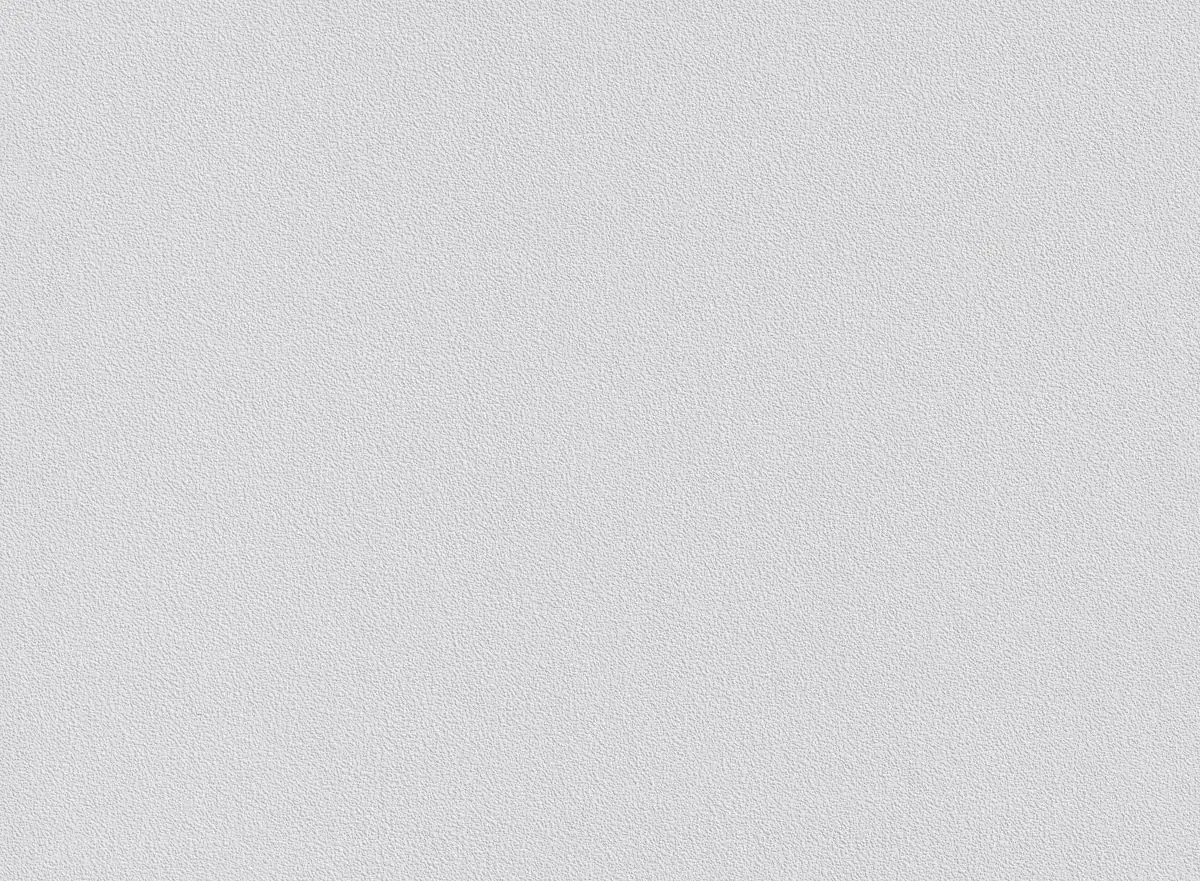 4000599004140_3 Erfurt Vliesfaser Maxx Premium Aranit 212 weiß 12,5 x 0,53 m