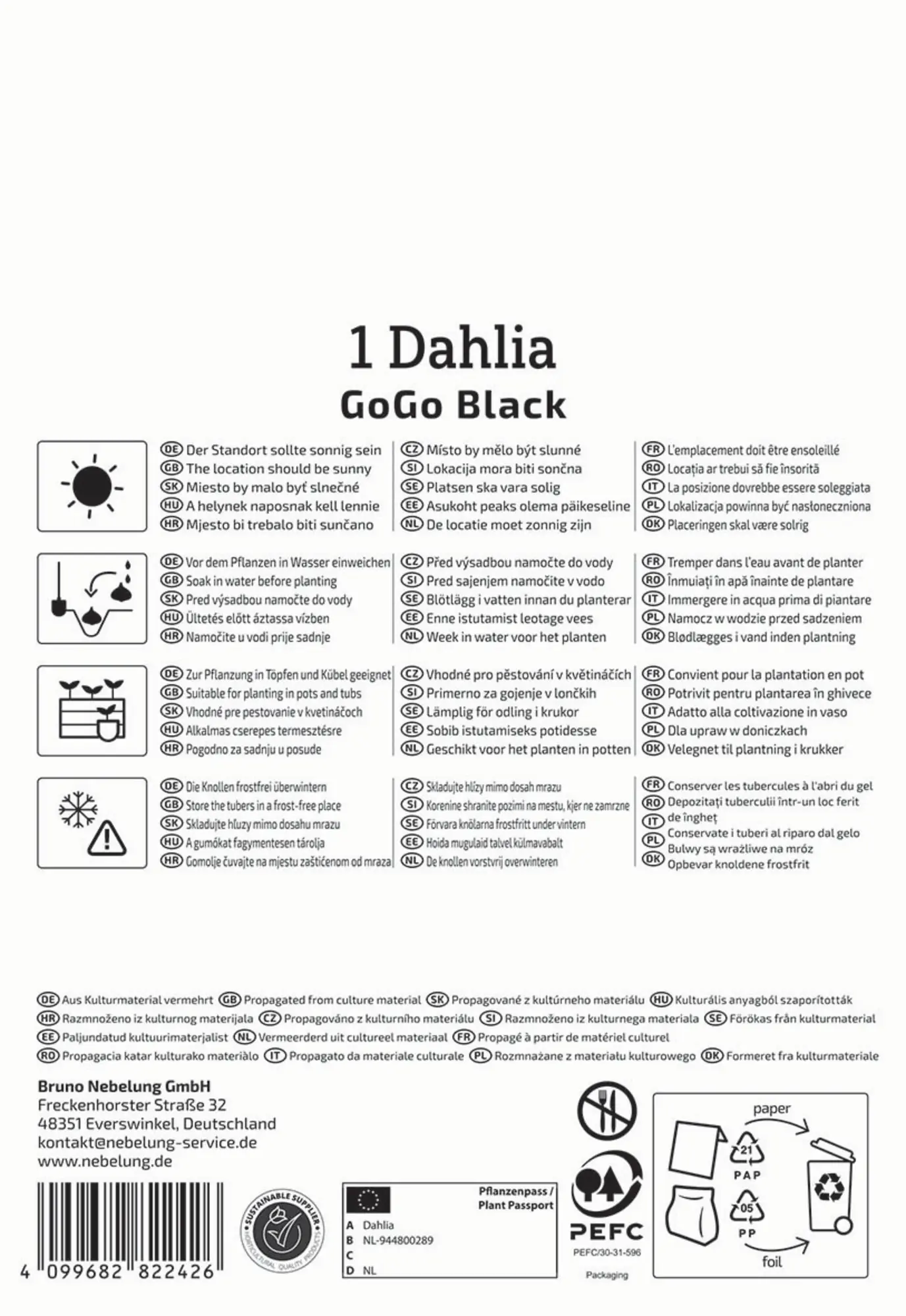 Kiepenkerl Frühjahrsblumenzwiebel Beet- & Kübel-Dahlie Go Go Black 1 Stück