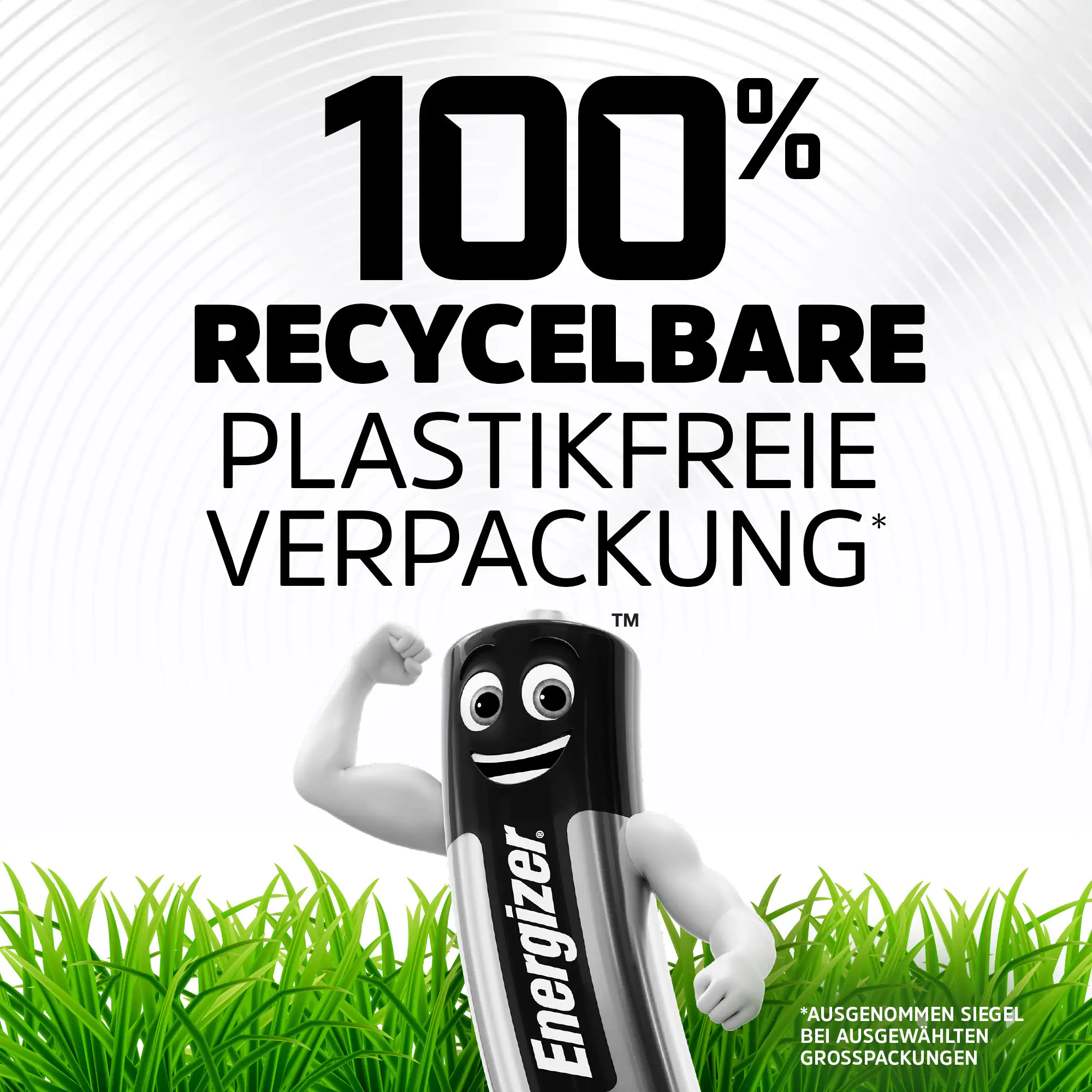 Energizer Alkaline Power Mignon AA LR6 1,5V, 24er Pack Energizer Alkaline Power Mignon AA LR6 1,5V, 24er Pack