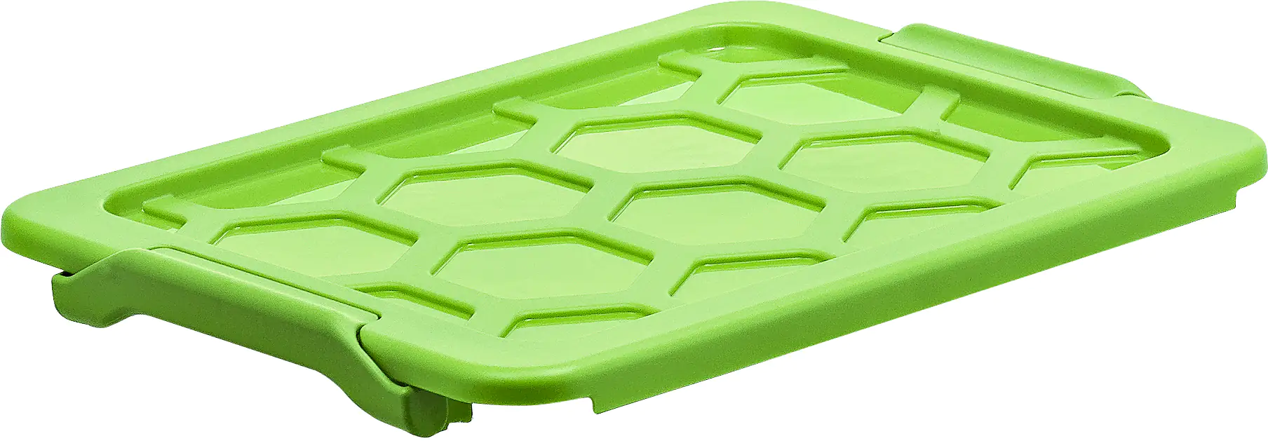 Rotho Aufbewahrungsbox EVO Safe inkl. Deckel 15 L transparent/grün