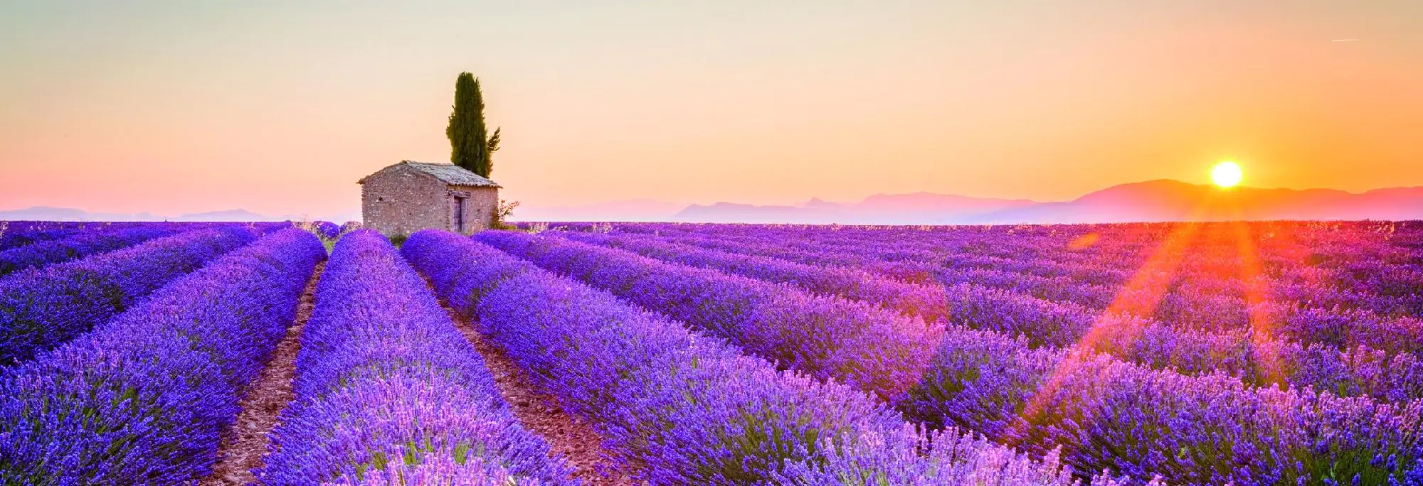 Deco-Panel Bild - Sonnenstrahlen 155 x 53 cm