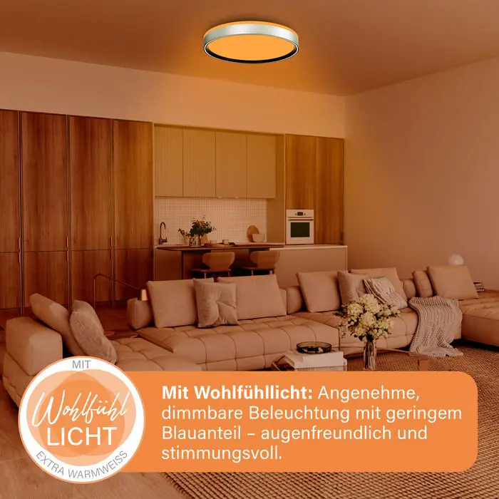 MegaLight LED-Deckenleuchte Shining Pluto Alu Ø48 cm dimmbar