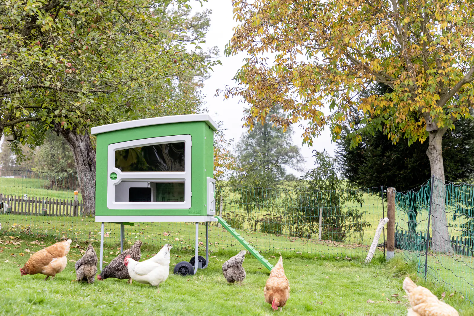 Kerbl Hühnerstall Mobile Coop 119 x 96 x 162 cm grün Kerbl Hühnerstall Mobile Coop 119 x 96 x 162 cm grün