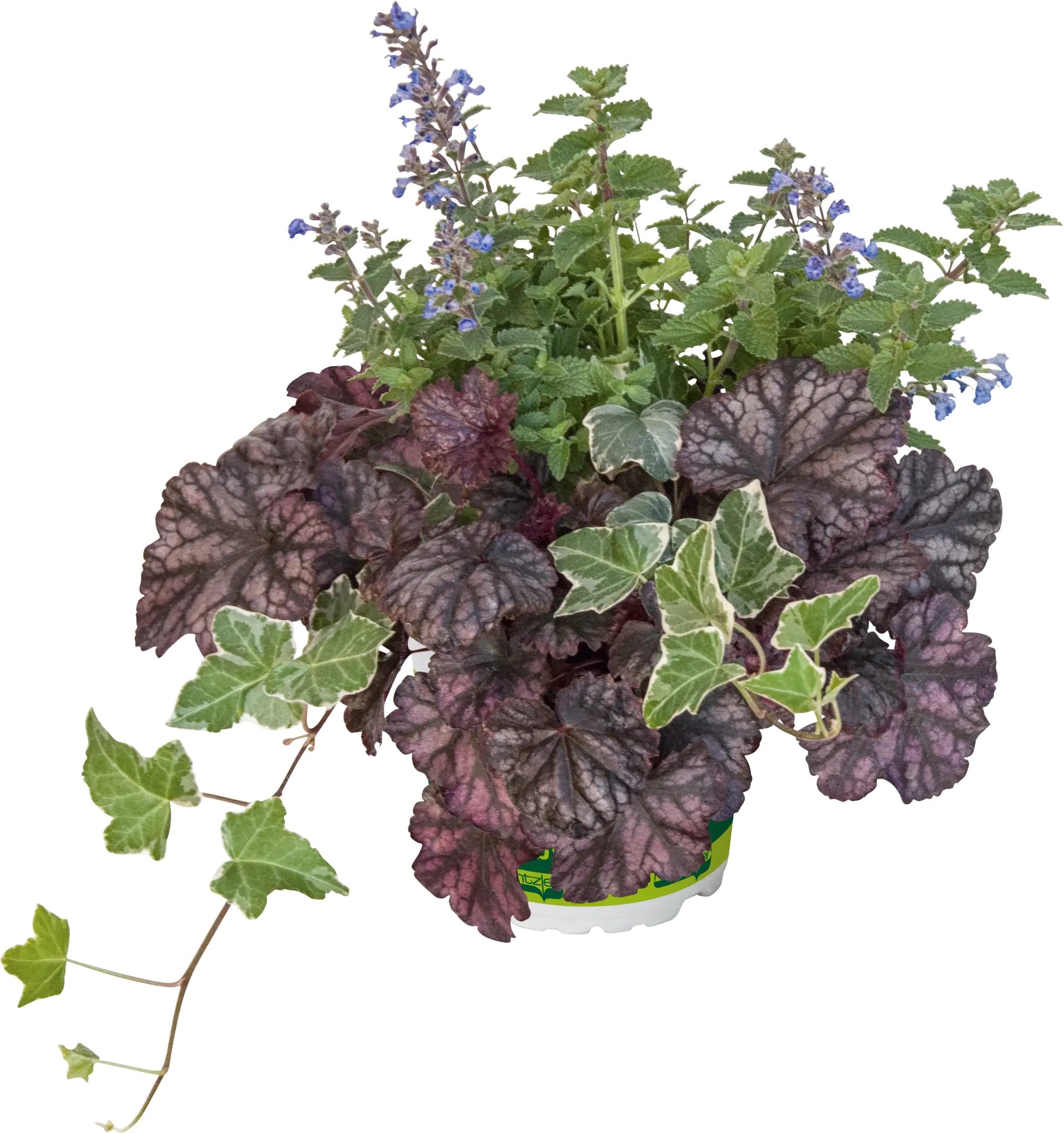 Trio-Mio Herbstzauber 5 l Container Trio-Mio Herbstzauber 5 l Container