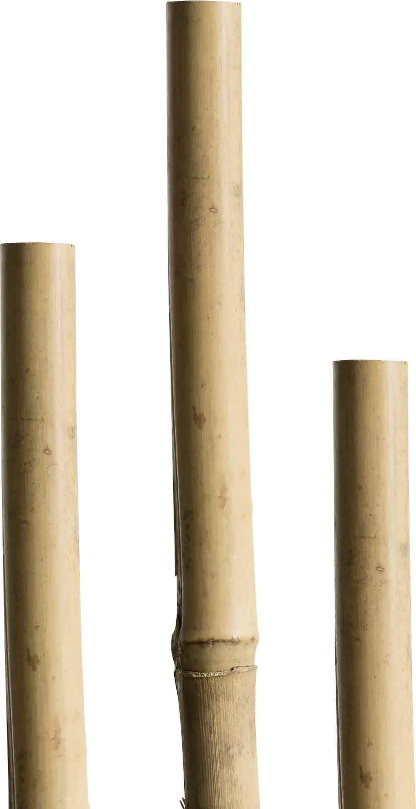 Windhager Tonkinstäbe 60cm 10 Stück