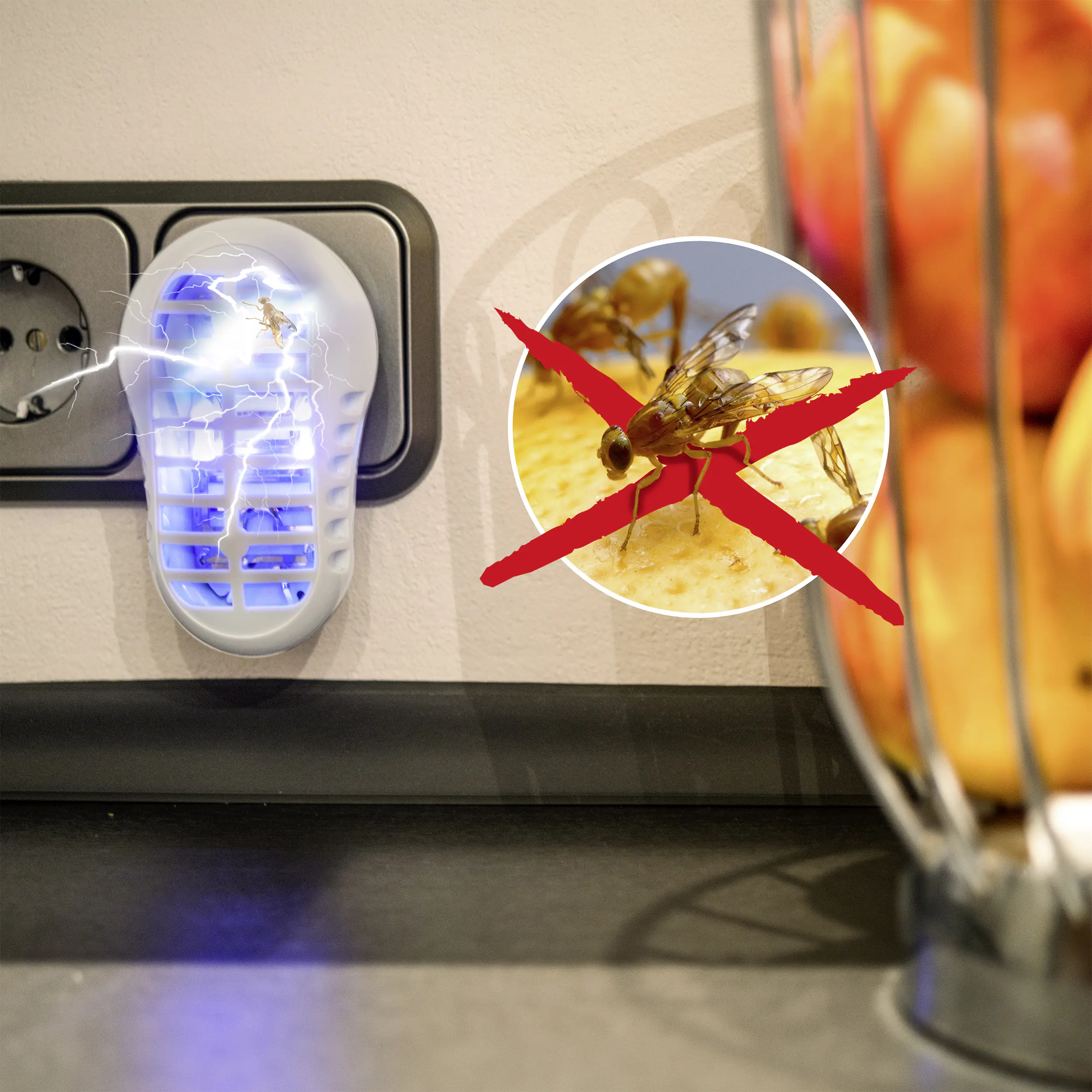 Gardigo Obstfliegen Vernichter