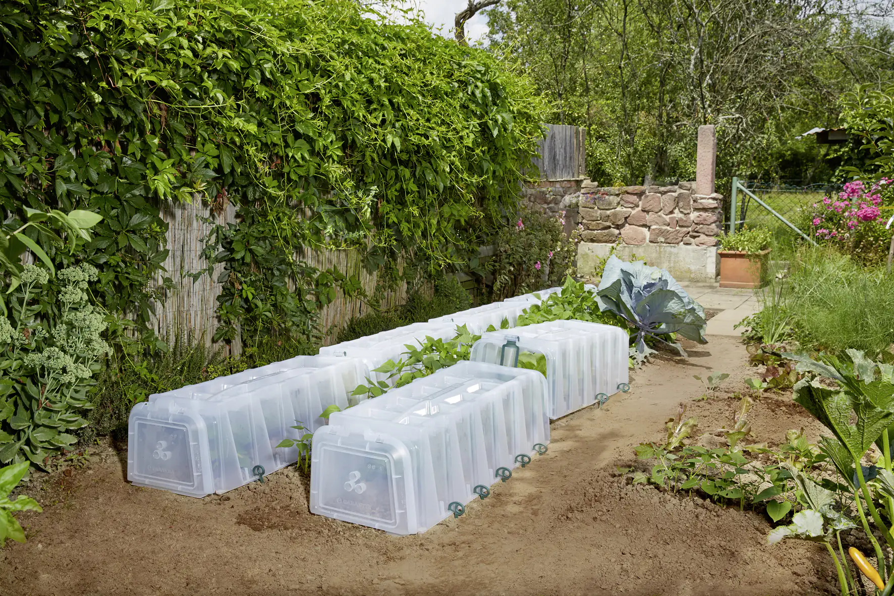 4023122210382_2317225 Garantia Pflanztunnel SUNNY 105 x 40 x 30 cm