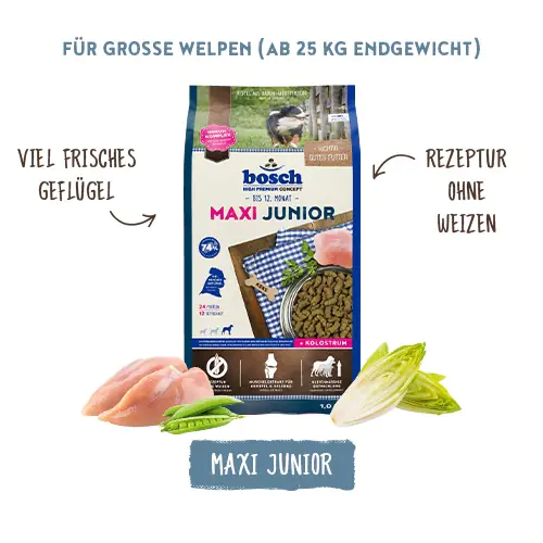 Bosch Trockenfutter für große Hunde Maxi Junior 1 kg Bosch Trockenfutter für große Hunde Maxi Junior 1 kg