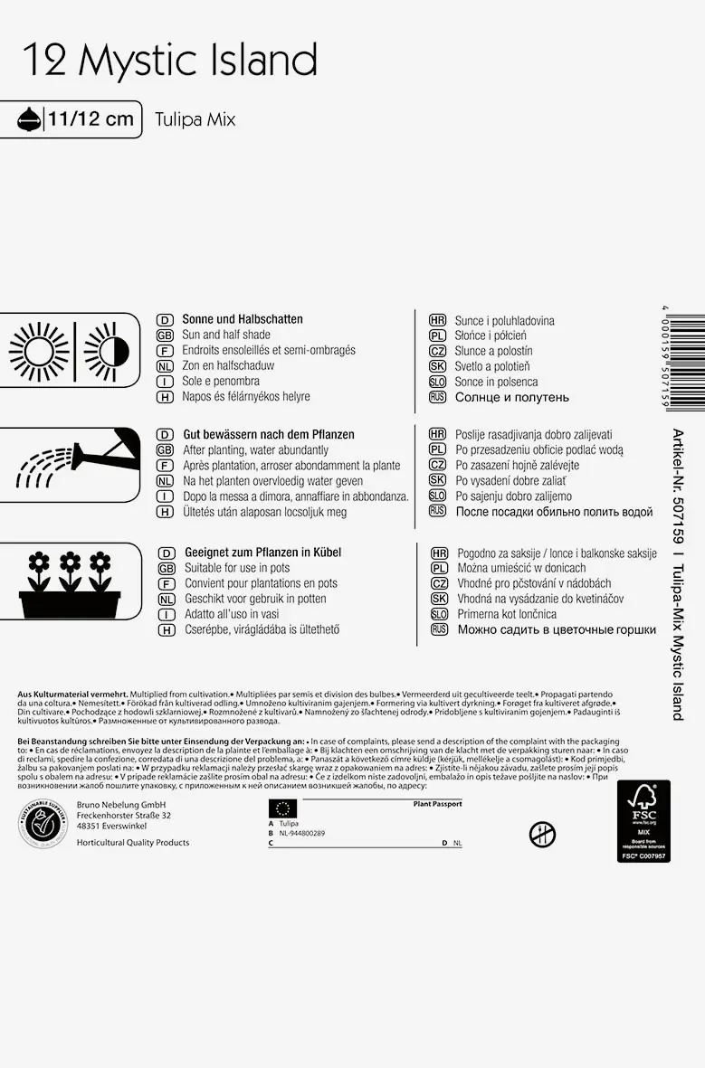 Colour Symphony Mystic Island Tulipa x Hybrida