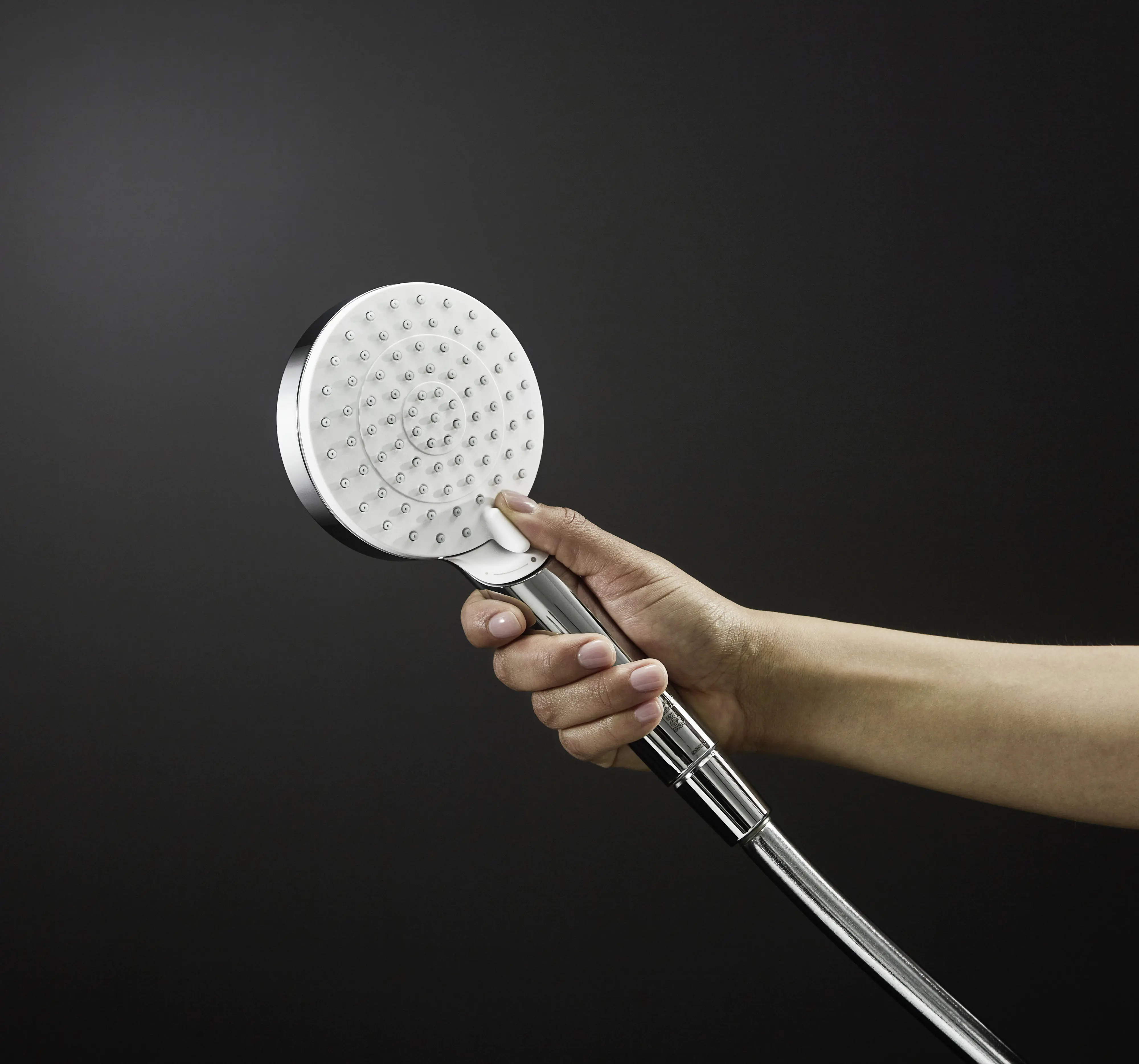 Hansgrohe Handbrause 2 Strahlarten Crometta Vario EcoSmart chrom-weiß