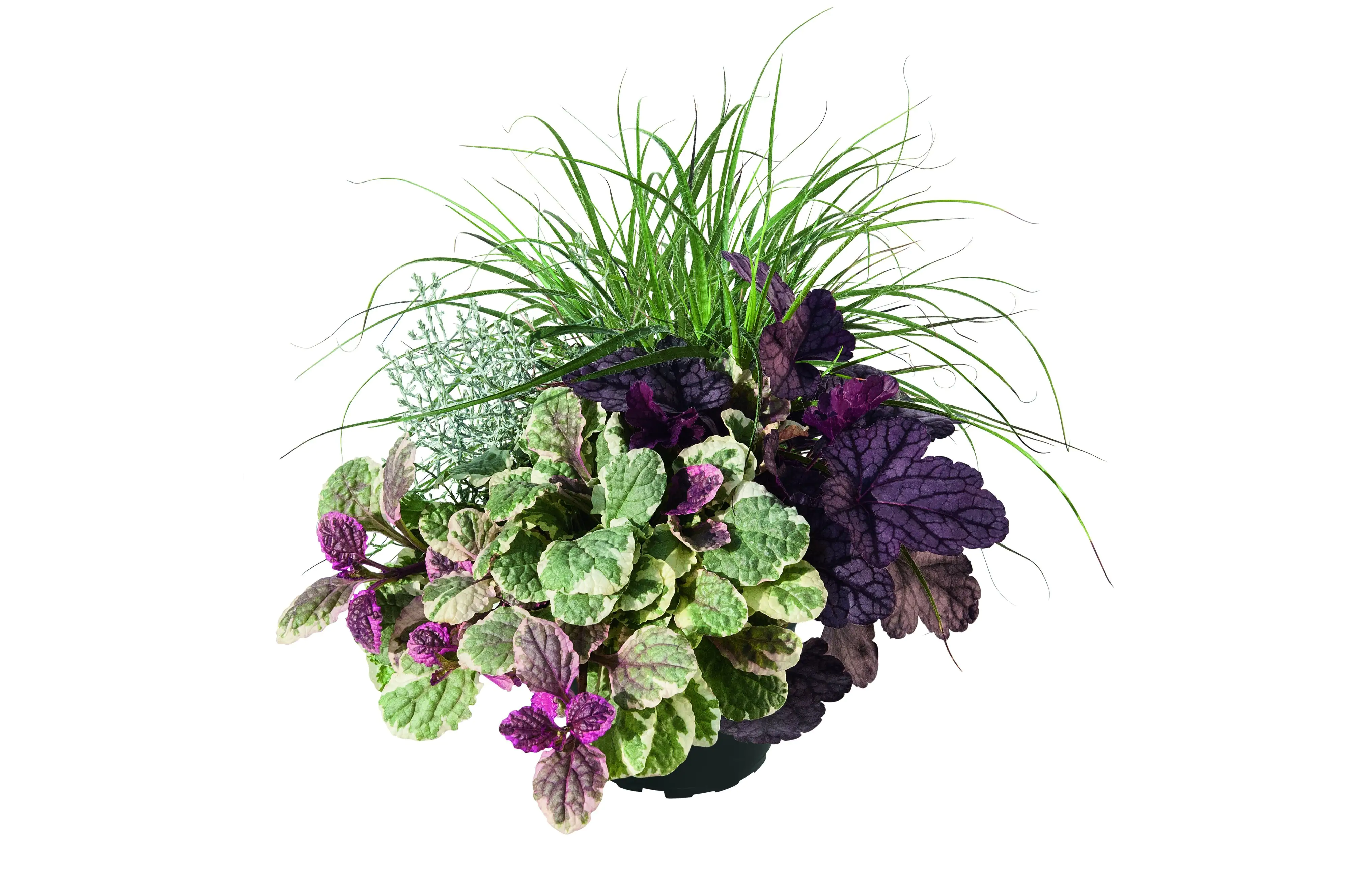 Trio-Mio Herbstzauber 5 l Container Trio-Mio Herbstzauber 5 l Container