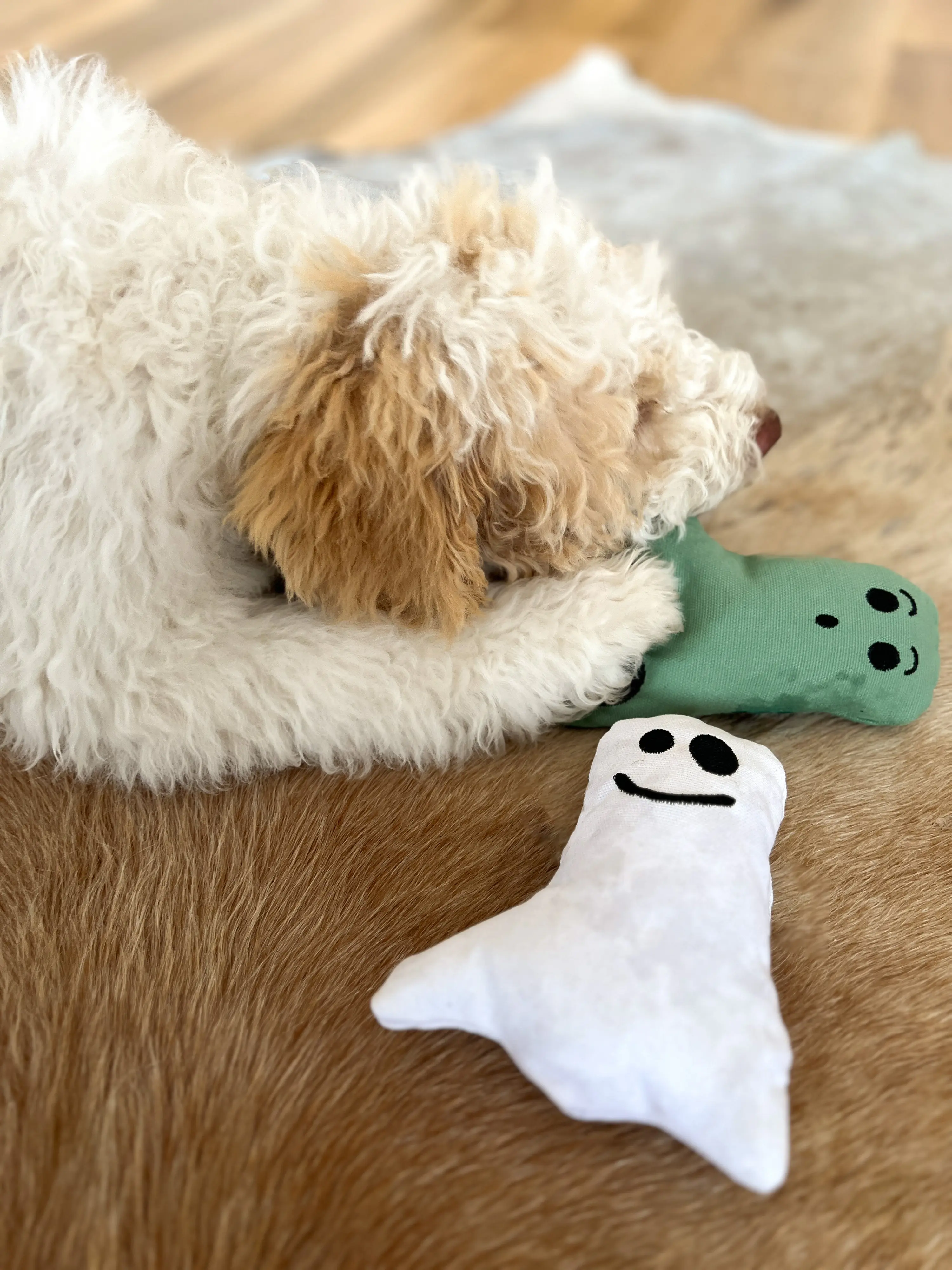 Aumüller Hundespielzeug Geist 16 cm grün