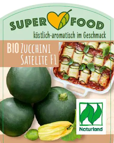 Cucurbita pepo Zucchini 13 cm Topf