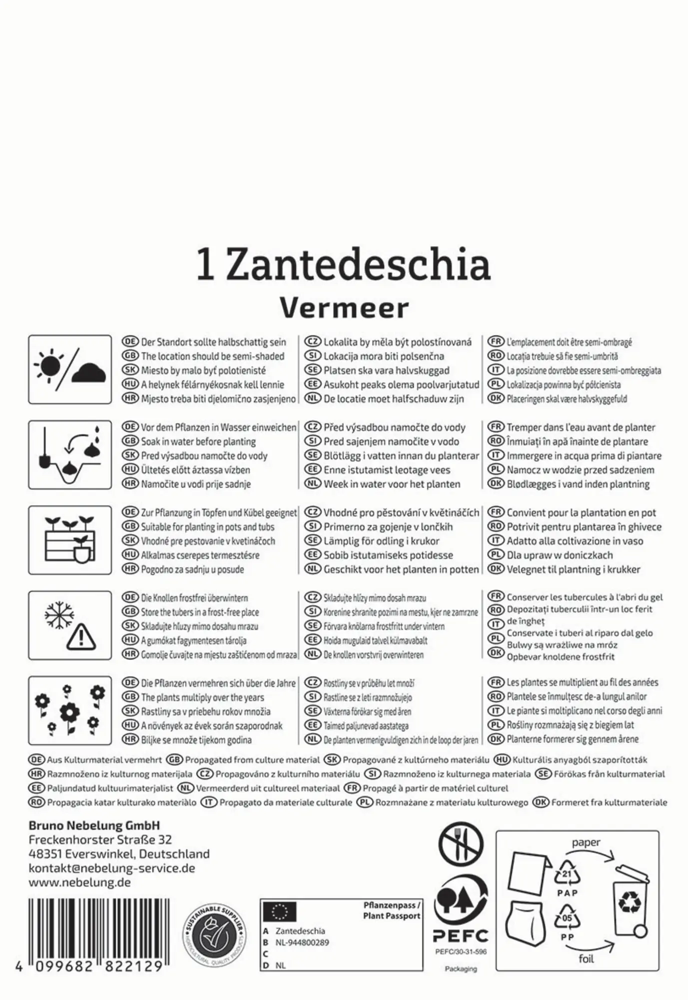 Kiepenkerl Profi-Line Frühjahrsblumenzwiebel Calla Vermeer 1 Stück