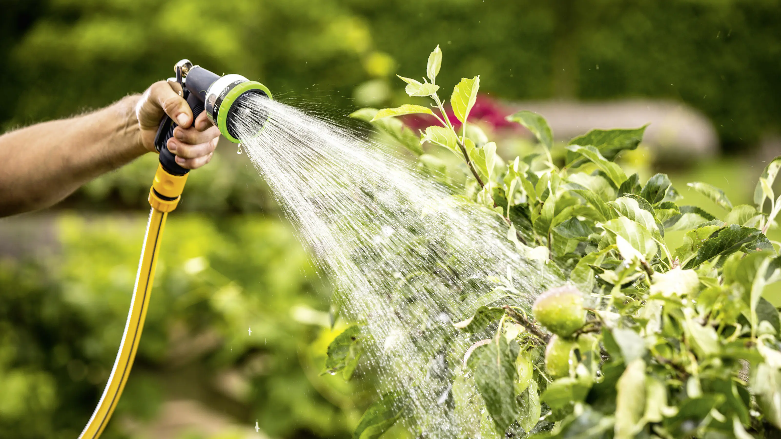 Bosch Akku-Regenfasspumpe GardenPump 18 V inkl. Akku & Ladegerät