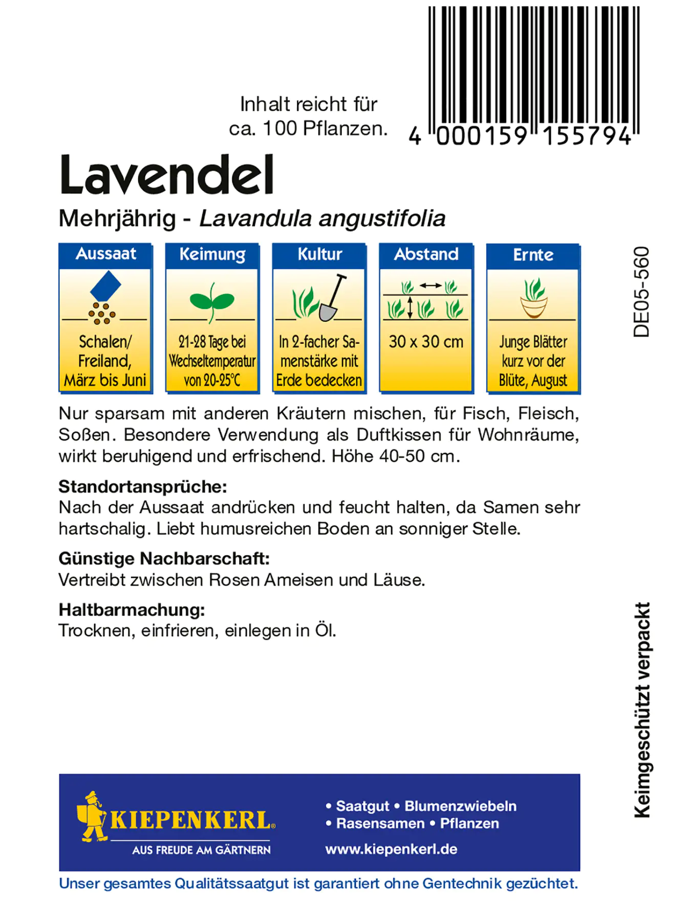 Kiepenkerl Lavendel mehrjährig