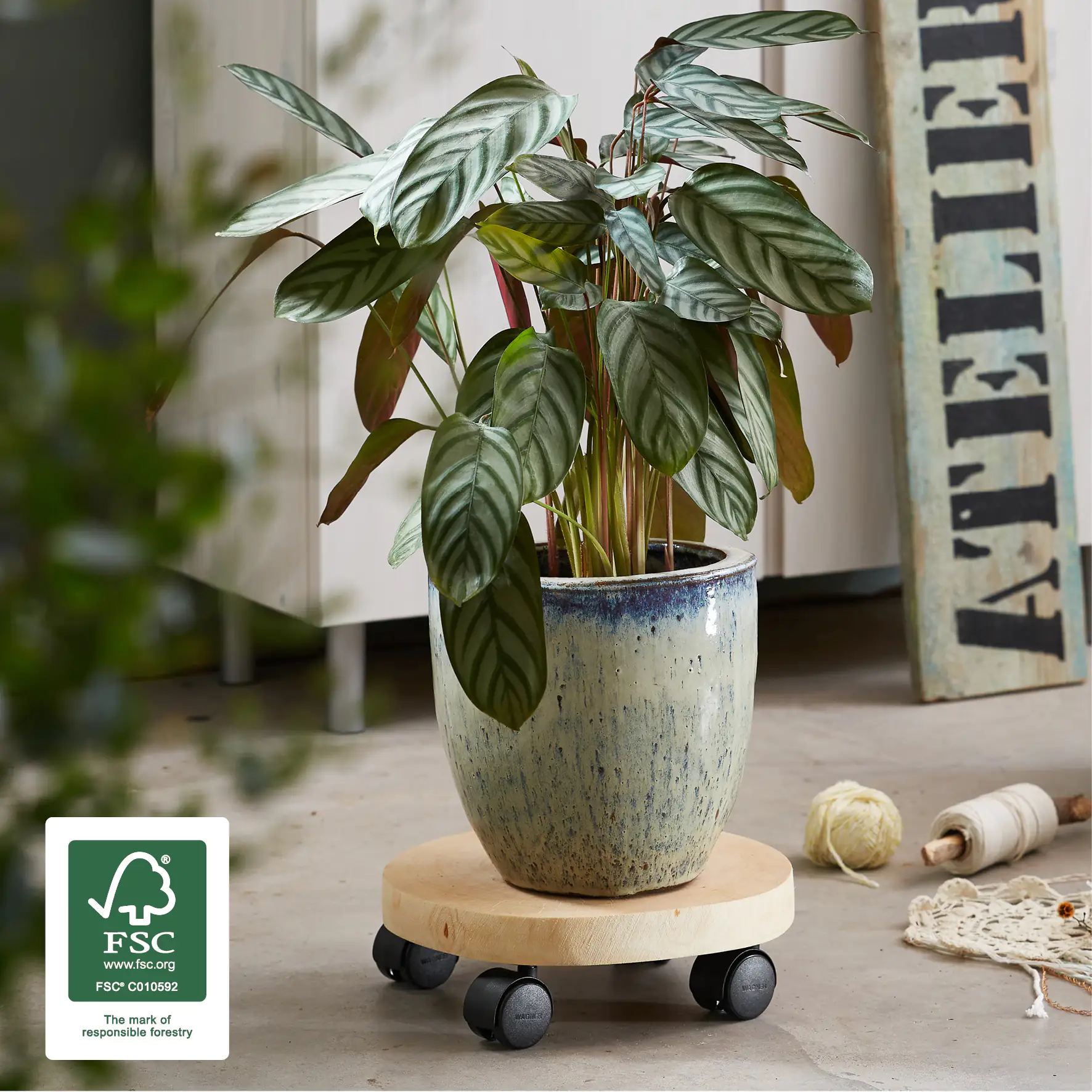 WAGNER Pflanzenroller Baumstamm rund Ø 25-30 cm Tragkraft bis max. 50 kg