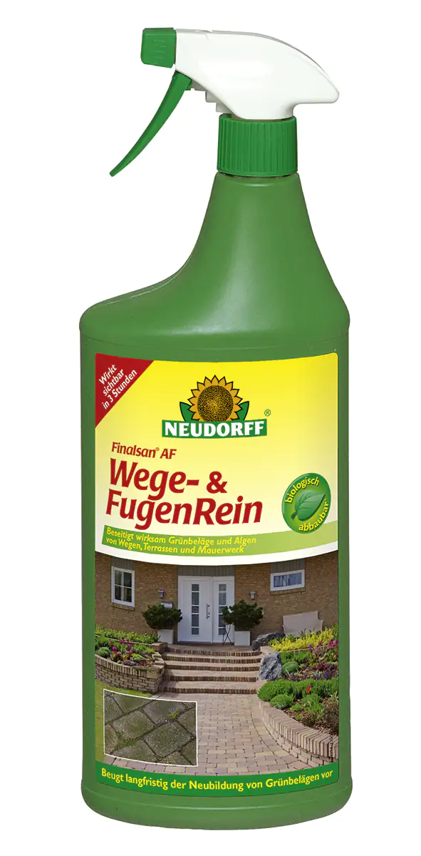 Finalsan AF Wege- und Fugenrein 1 L