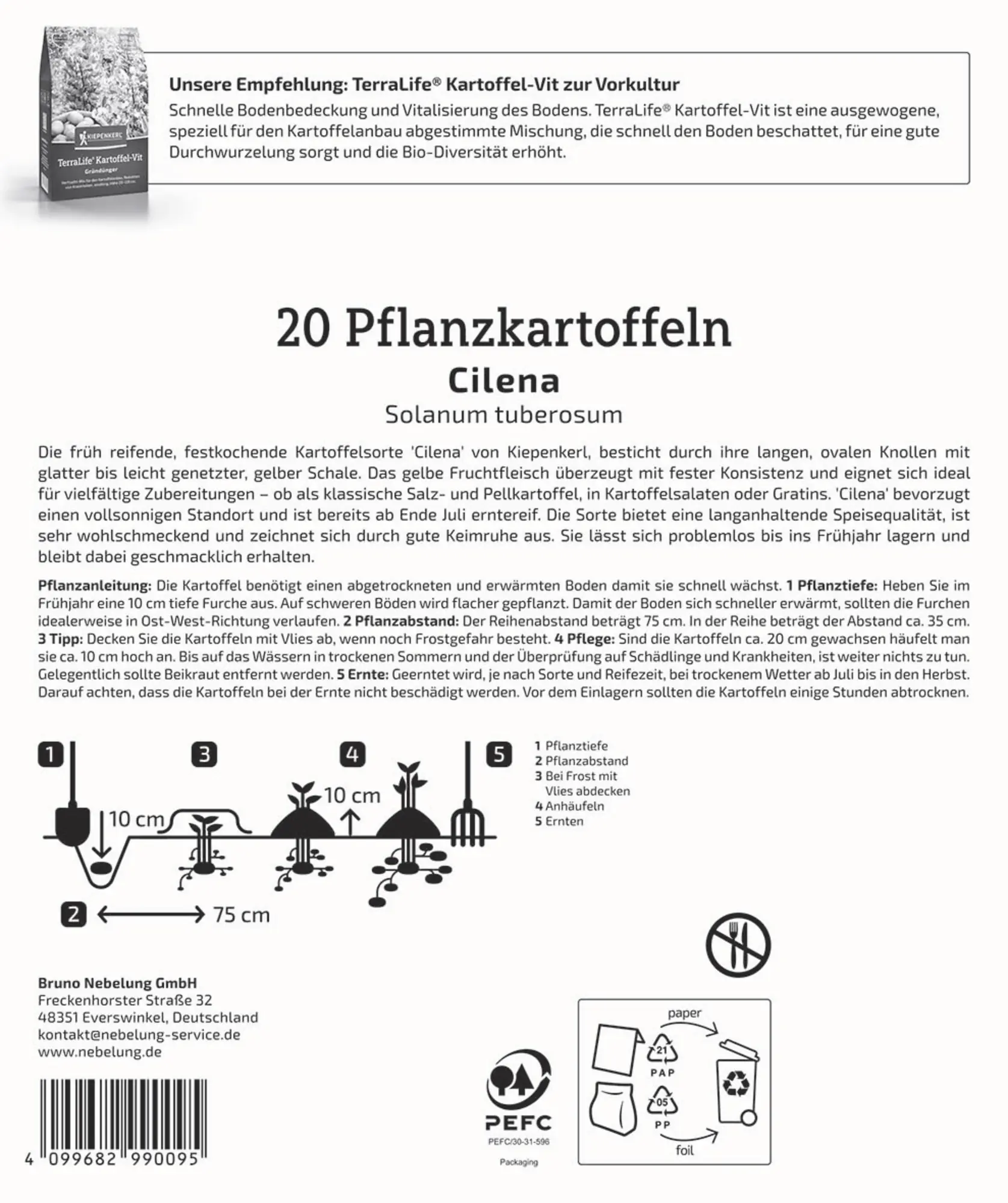 Kiepenkerl Pflanzkartoffel Cilena 20 Stück