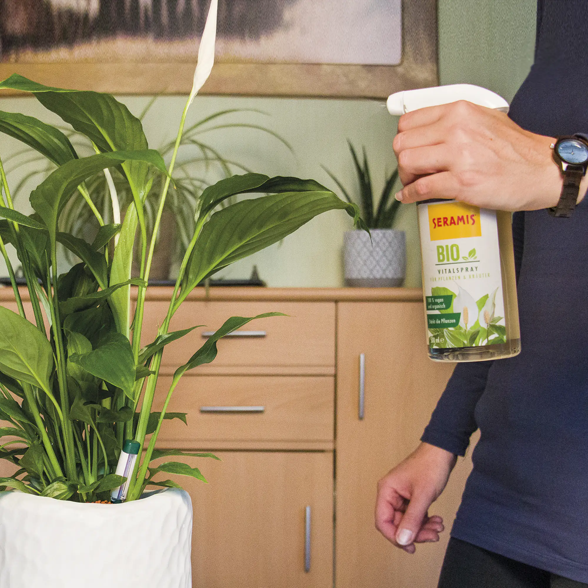 Seramis Bio-Vitalspray für Pflanzen & Kräuter 500 ml