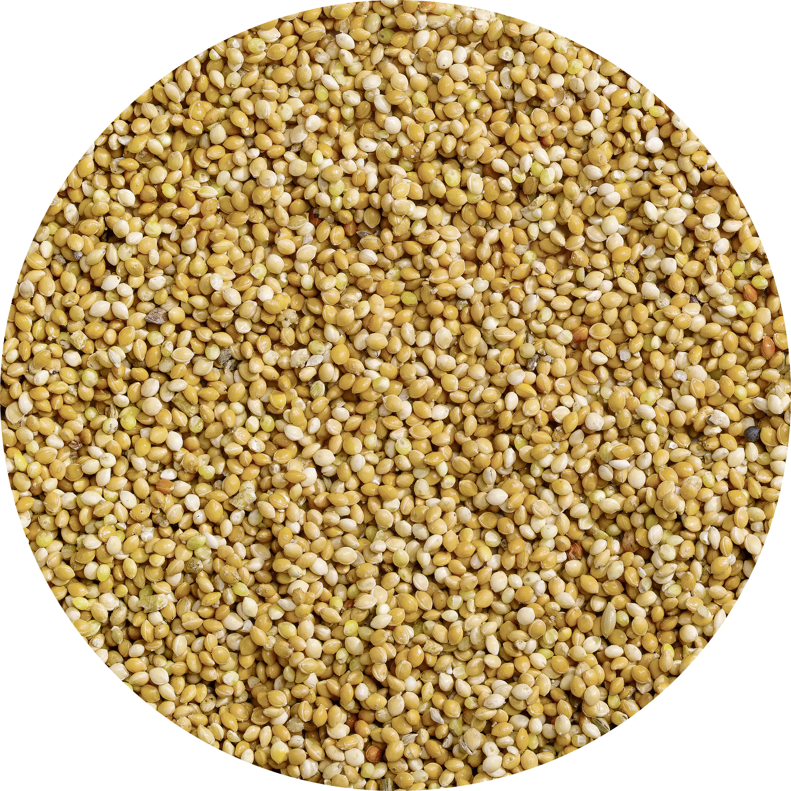 Vitakraft Vogelfutter Honig Perlen 20 g Vitakraft Vogelfutter Honig Perlen 20 g