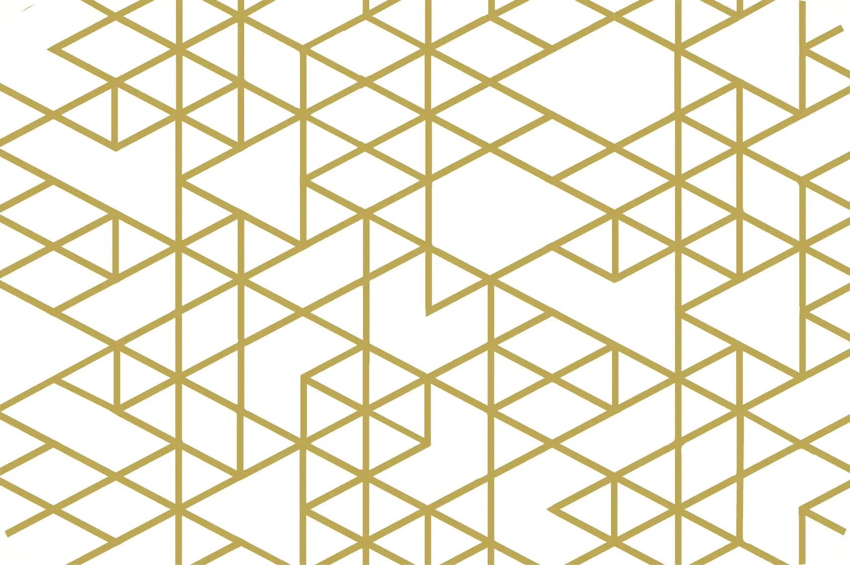 d-c-table® Tischset Rio Eske 44 x 29 cm, gold