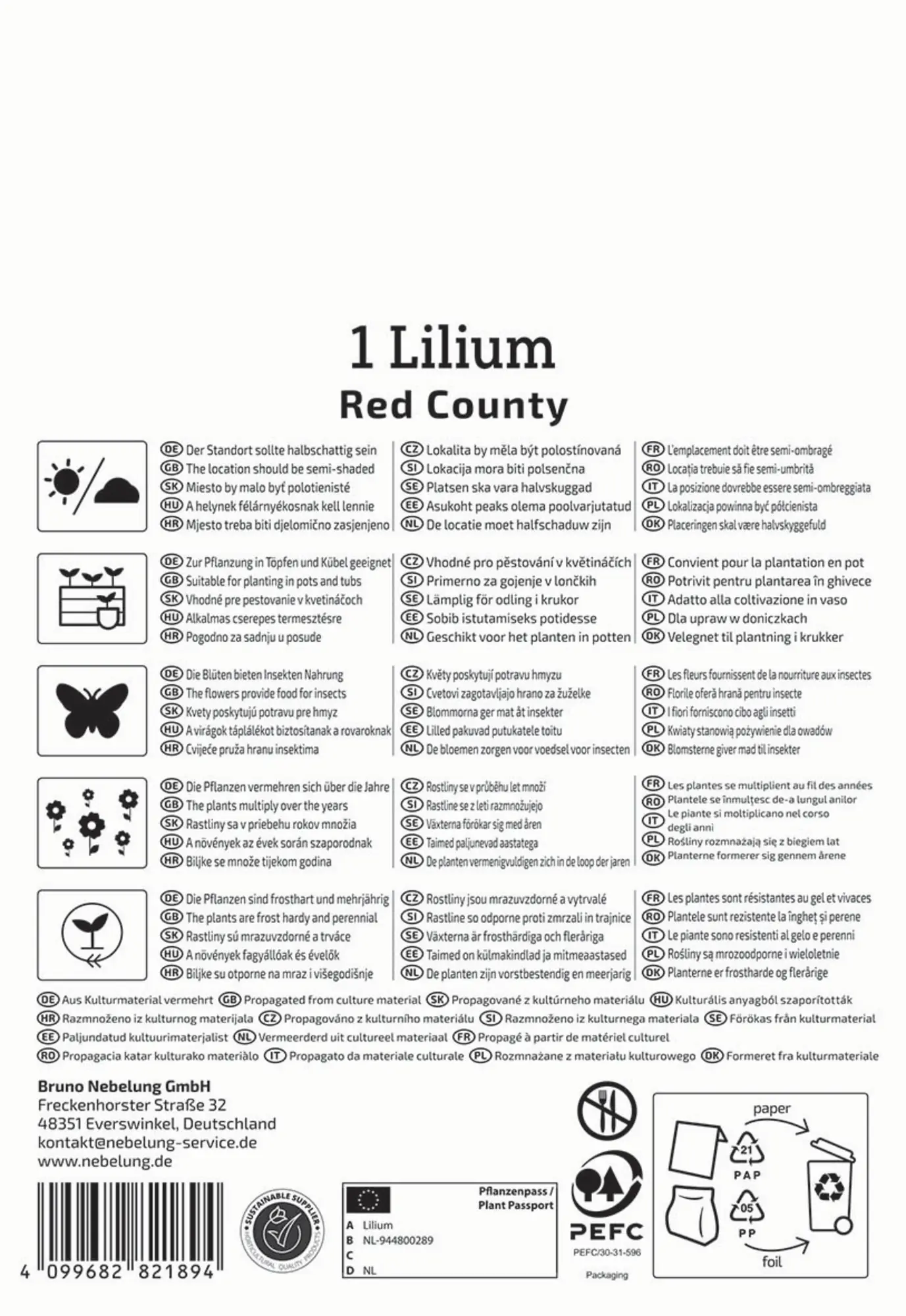 Kiepenkerl Frühjahrsblumenzwiebel Asiatische Lilie Red County 1 Stück