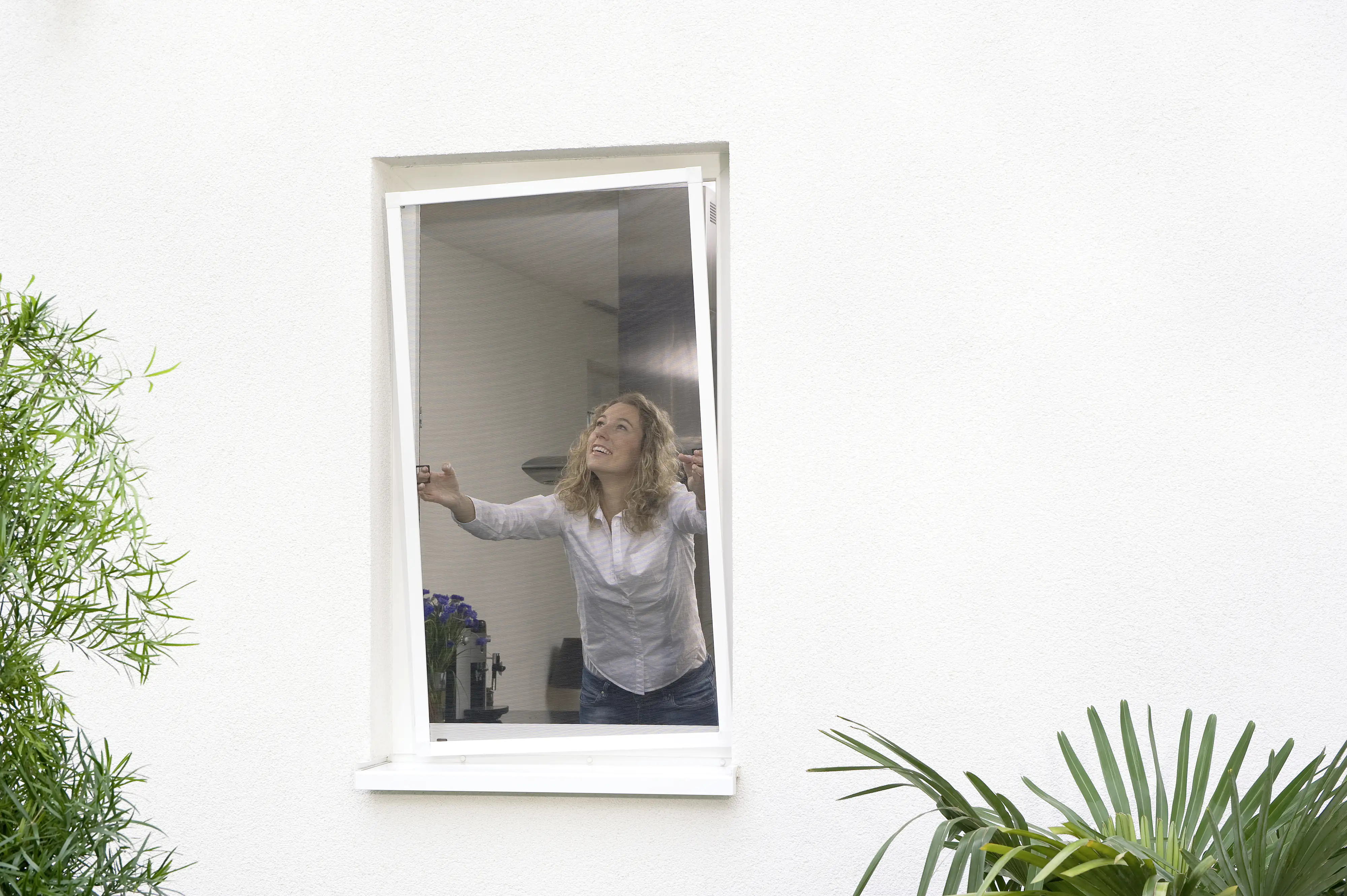 tesa Insektenschutz-Fenster COMFORT 120 x 150 cm anthrazit