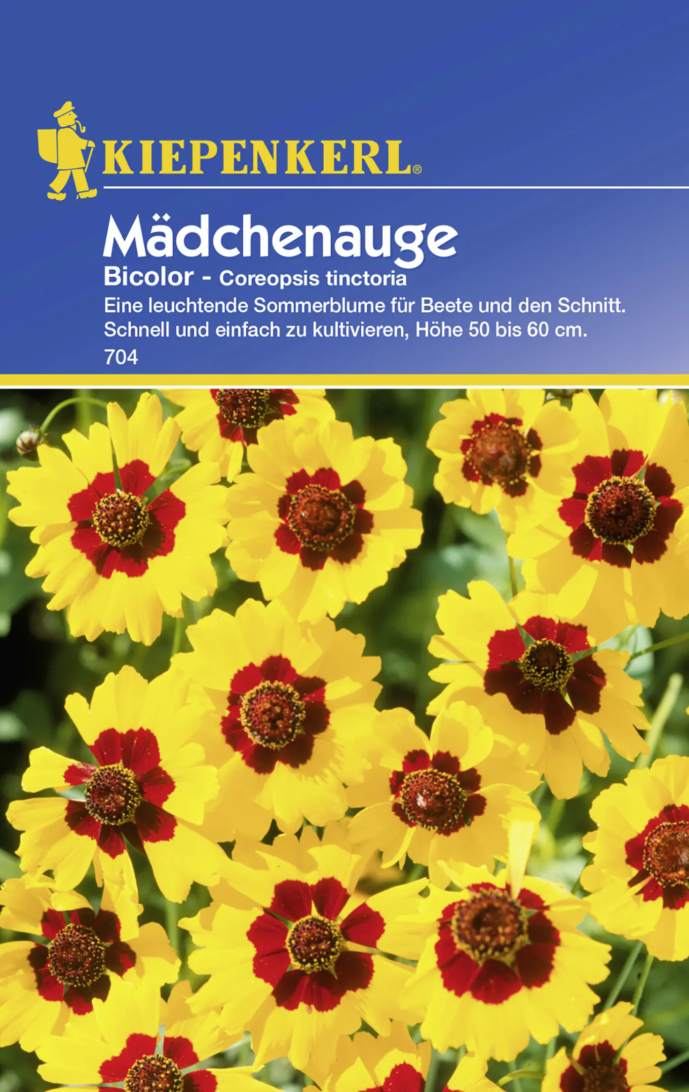 Kiepenkerl Mädchenauge Bicolor Coreopsis tinctoria, Inhalt: ca. 80 Pflanzen