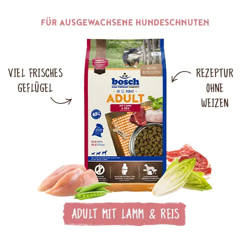 Bosch Trockenfutter für Hunde Adult 3 kg mit Lamm & Reis Bosch Trockenfutter für Hunde Adult 3 kg mit Lamm & Reis