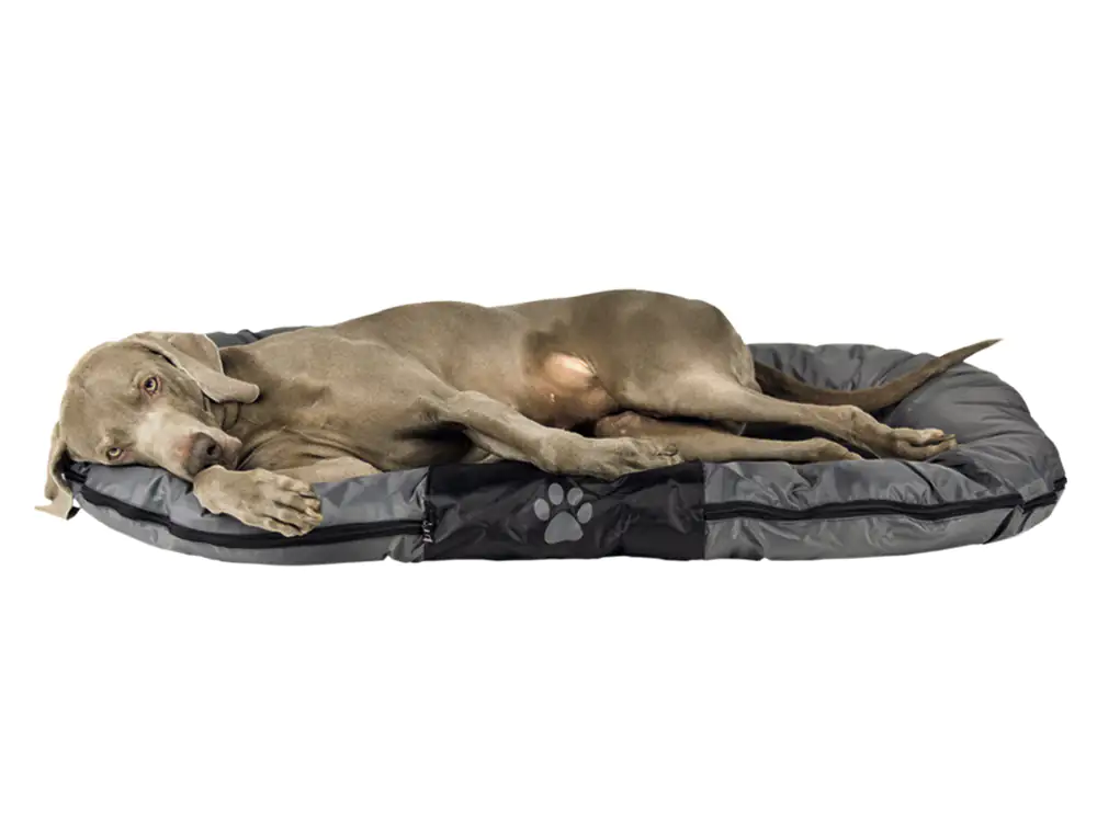 4033766608476_1 Nobby Kissen Classic Reno eckig schwarz