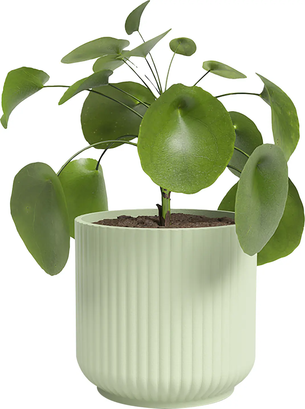 Artevasi Übertopf Luna Keramik hellgrün matt Ø 9 x 8 cm 