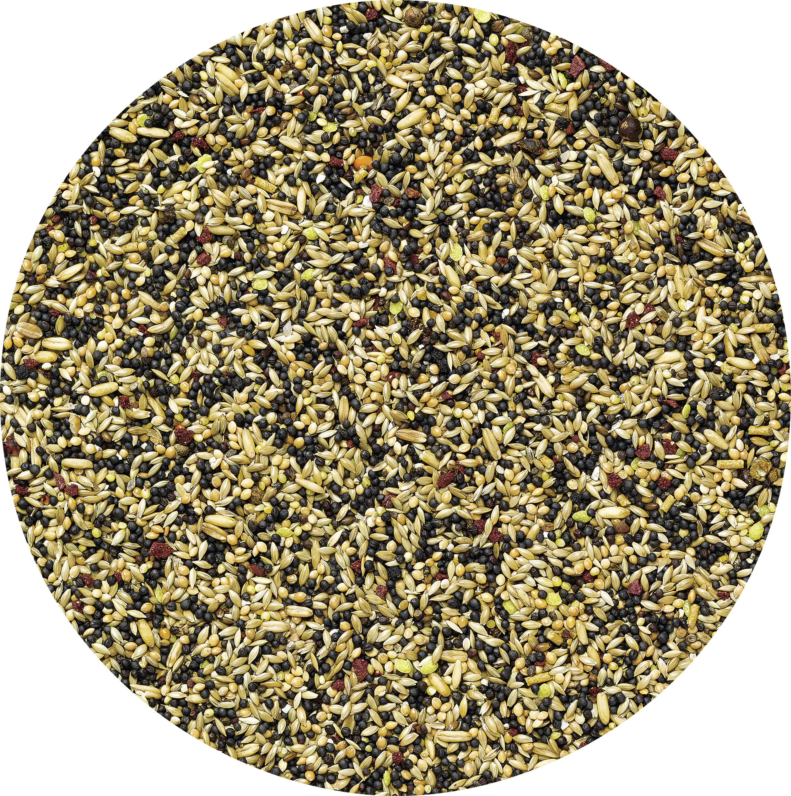 Vitakraft LIFE Power 800 g Vitakraft LIFE Power 800 g