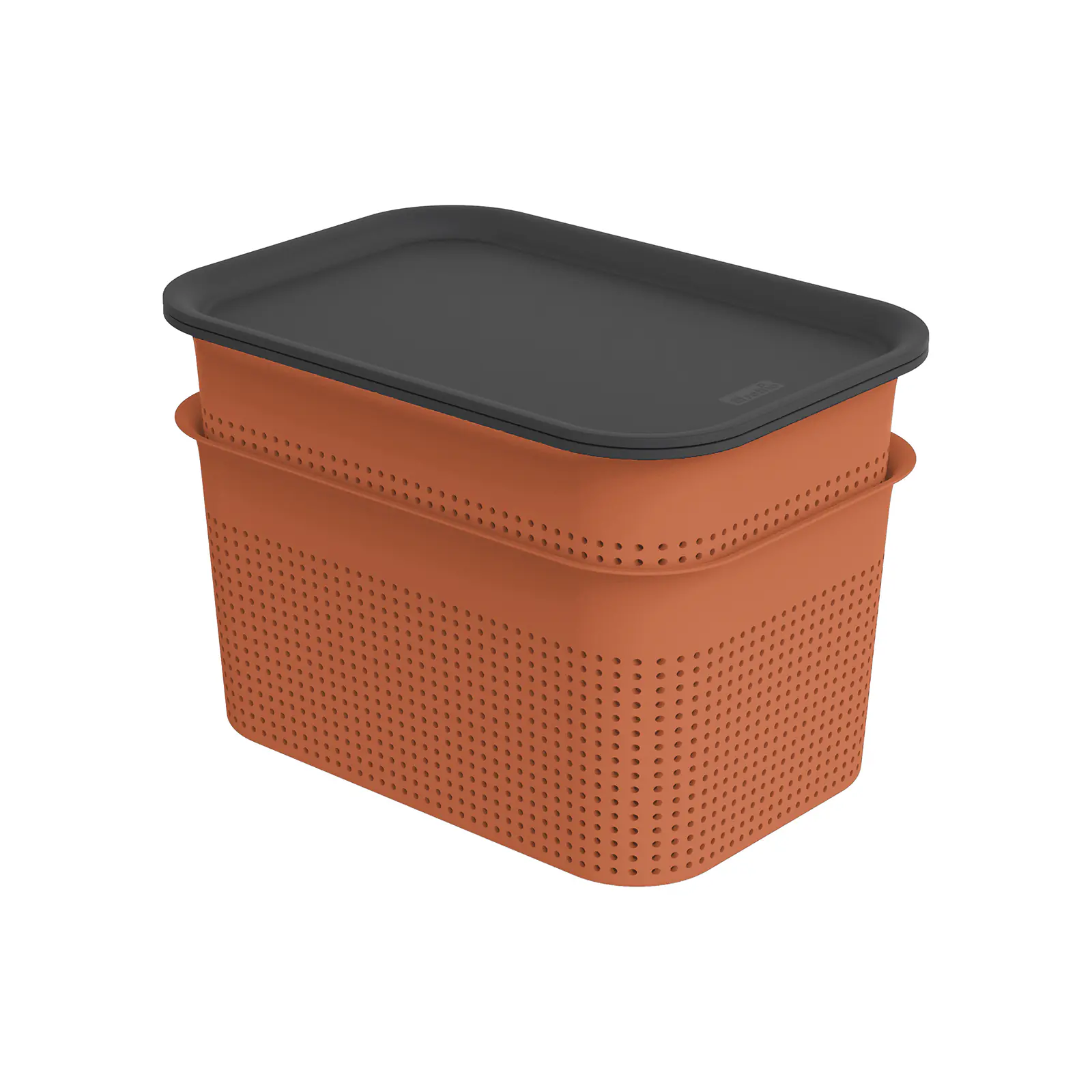Rotho Aufbewahrungsbox Brisen mit Deckel 26,5 x 18,5 cm 4,5 L clay koralle 2er Set