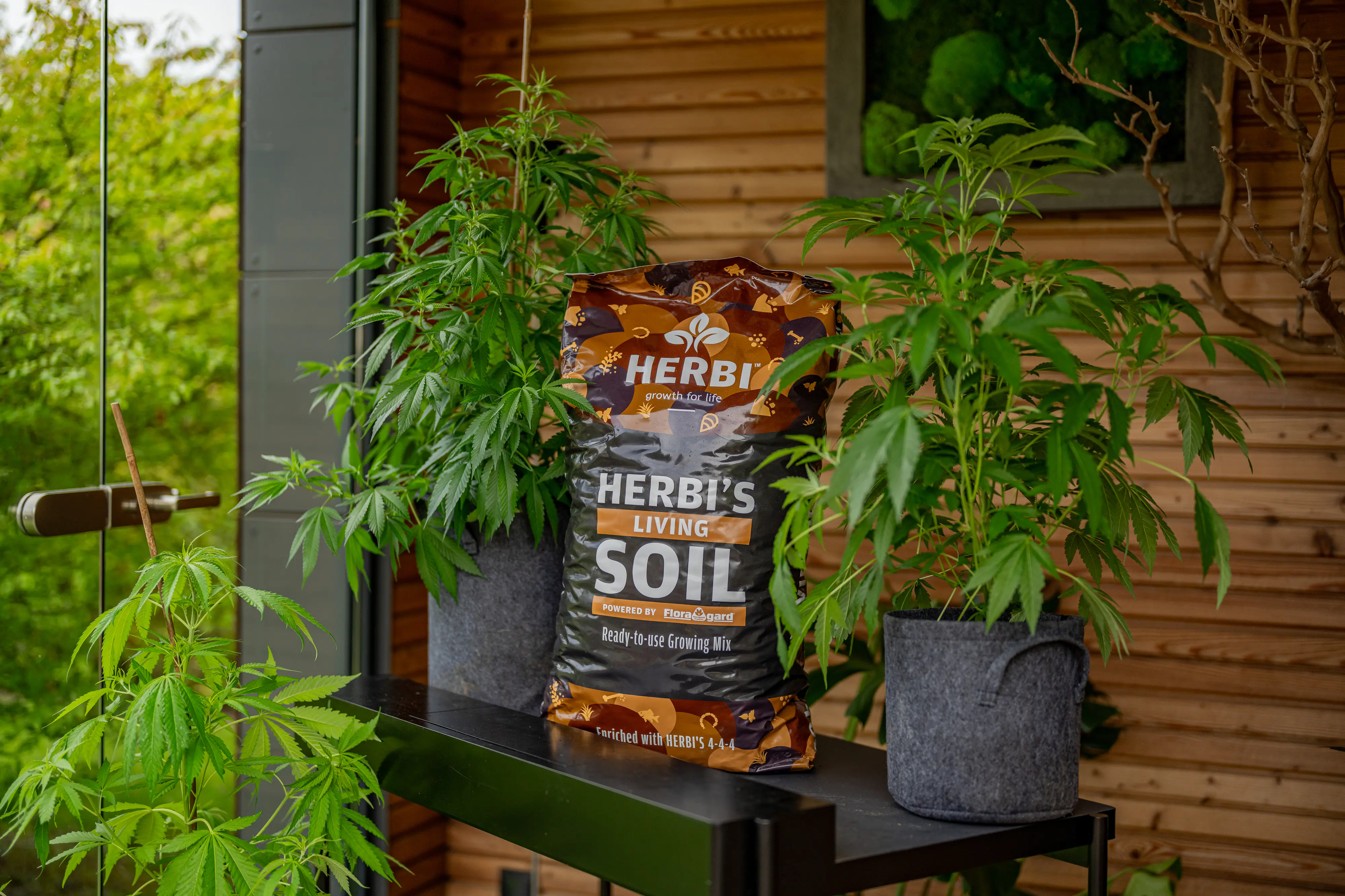 Herbi's Living Soil Grow Erde torffrei 40 L