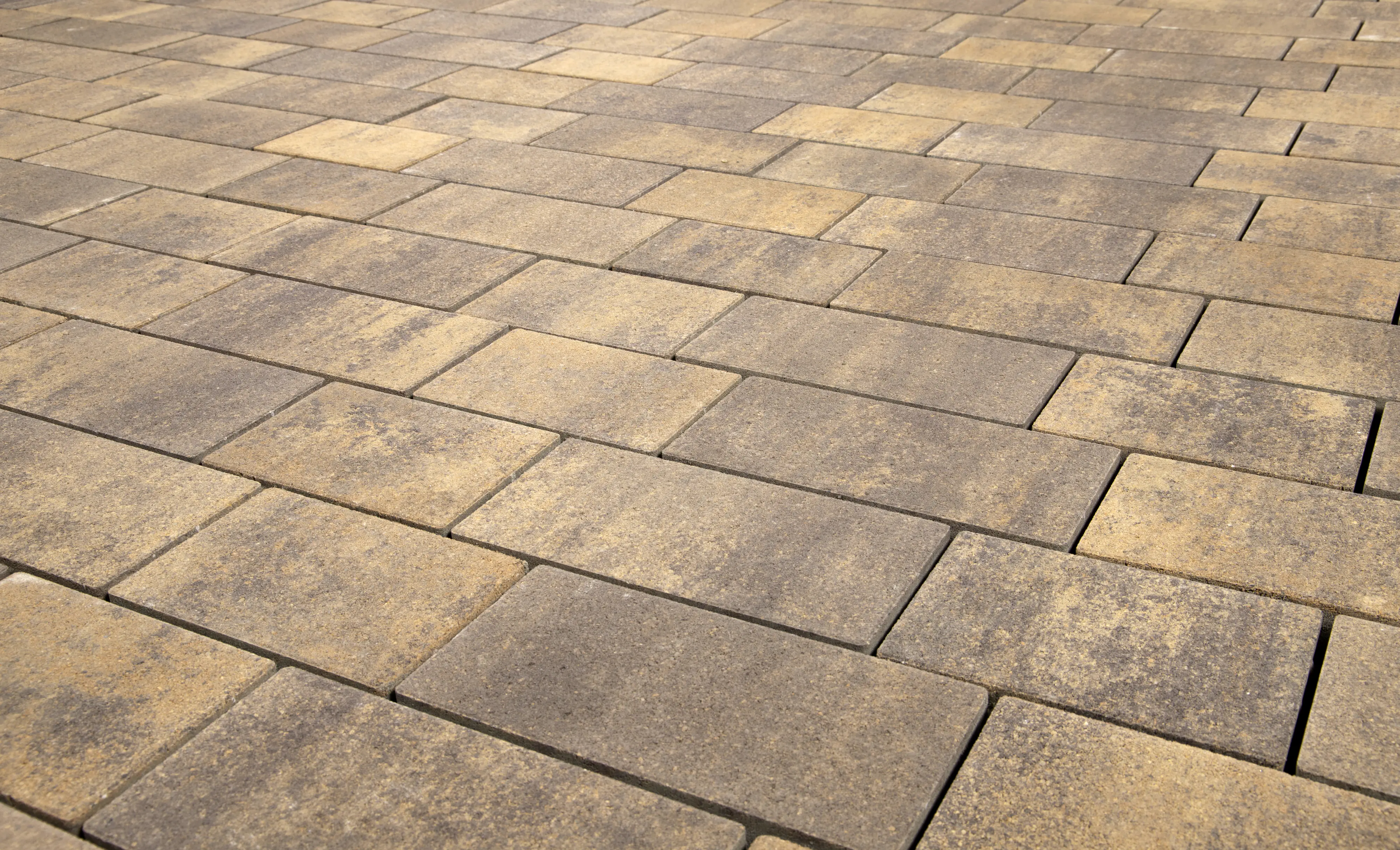 EHL Pflasterstein AquaDrän 15 x 30 x 6 cm beige 